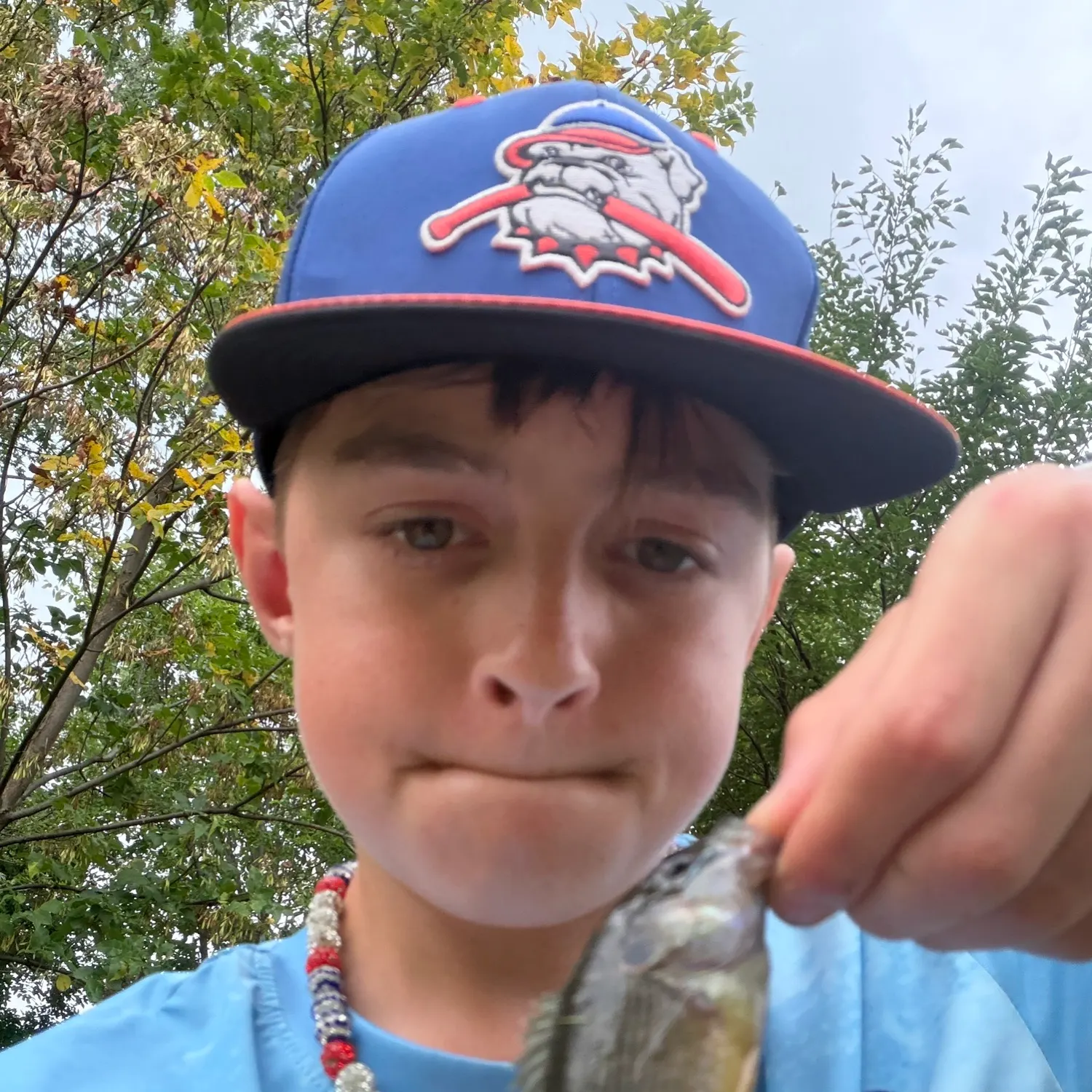 Greengill hybrid caught on Fishbrain