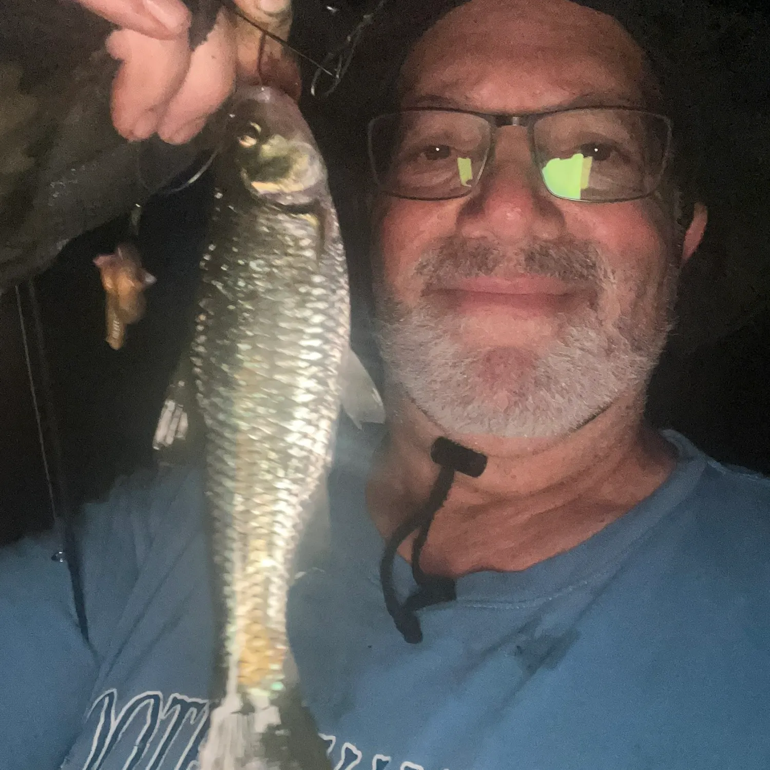 The most recent White shiner catches on Fishbrain