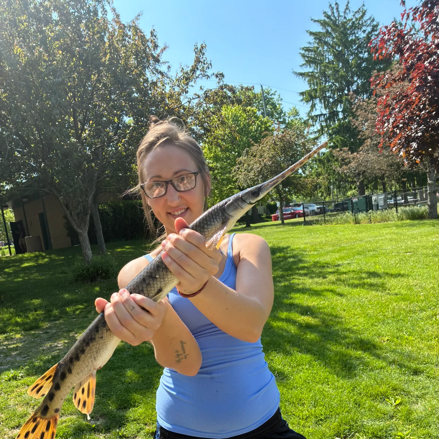 The most recent Longnose gar catches on Fishbrain