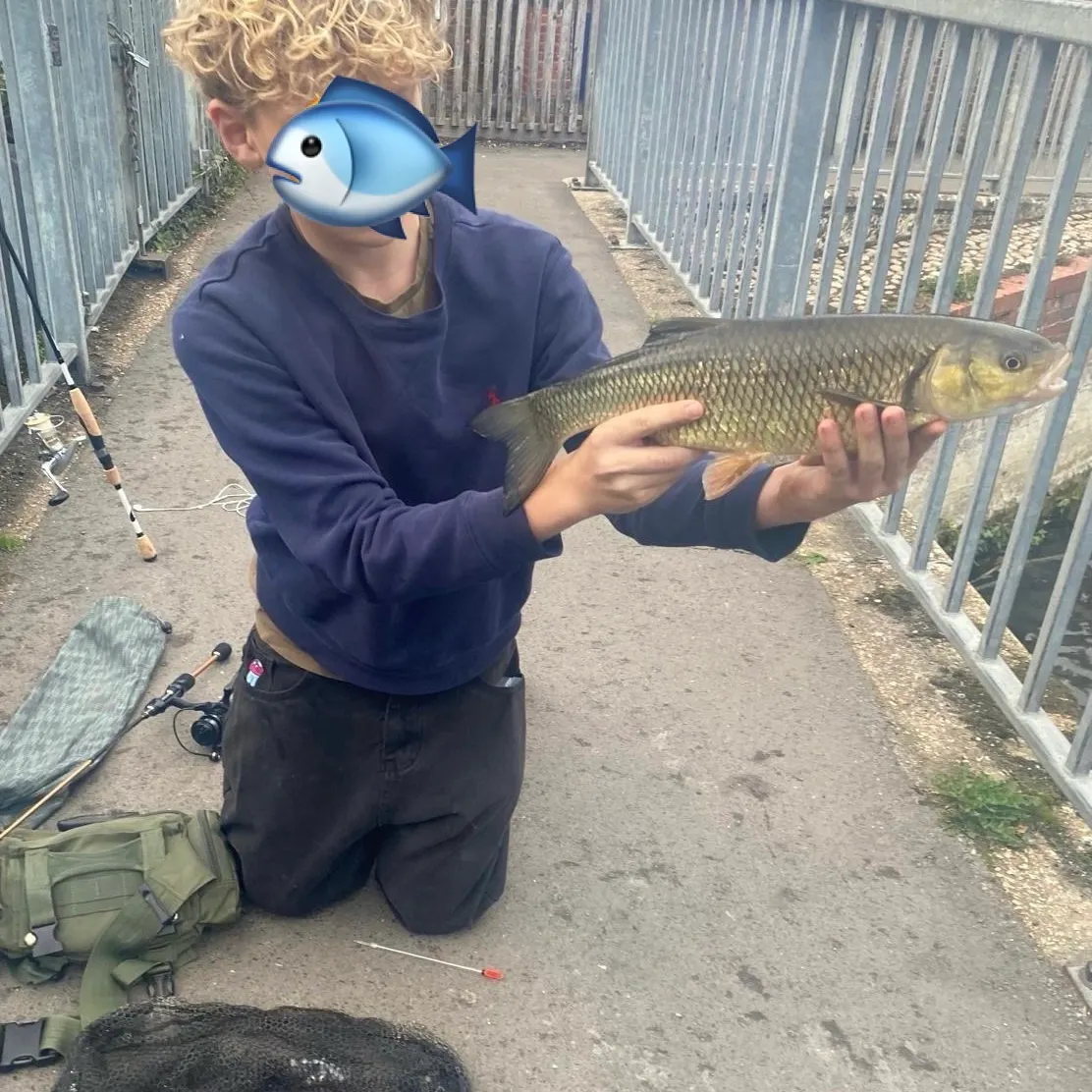 European chub caught on Fishbrain