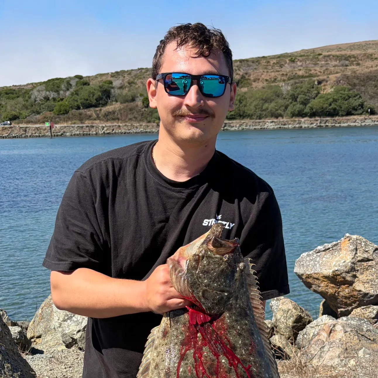 California halibut caught on Fishbrain