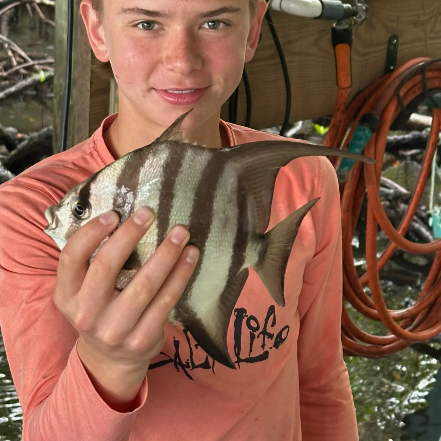 The most recent Pacific spadefish catches on Fishbrain