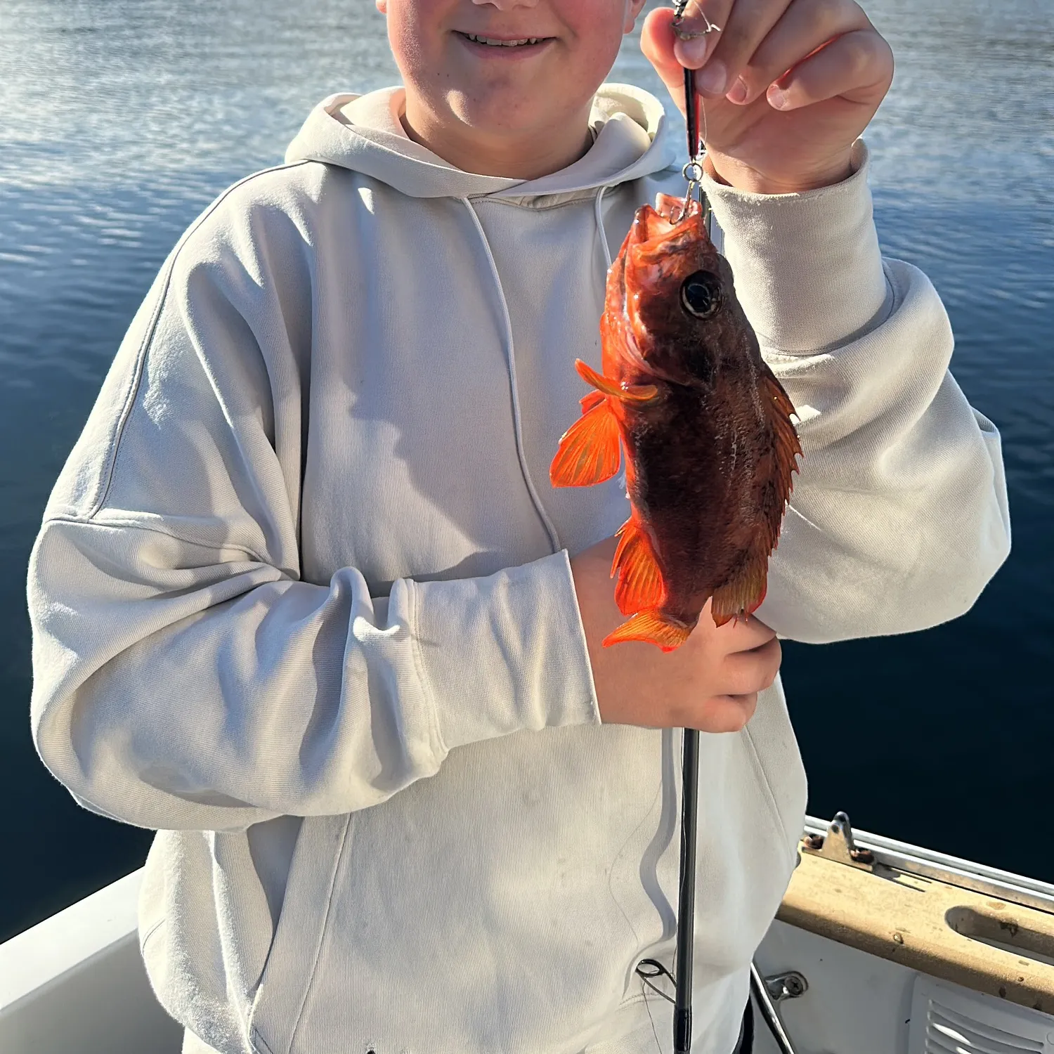 Vermilion rockfish caught on Fishbrain