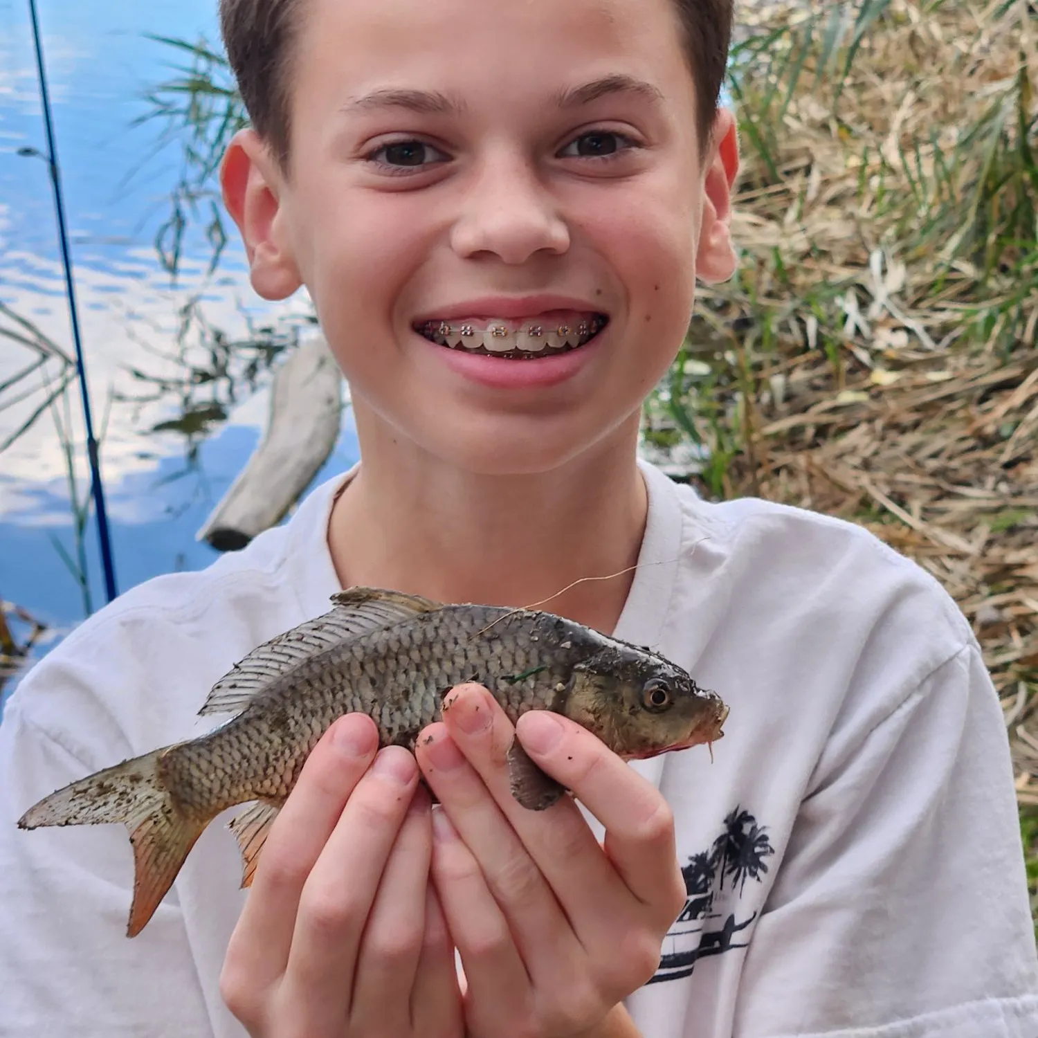 Common carp caught on Fishbrain