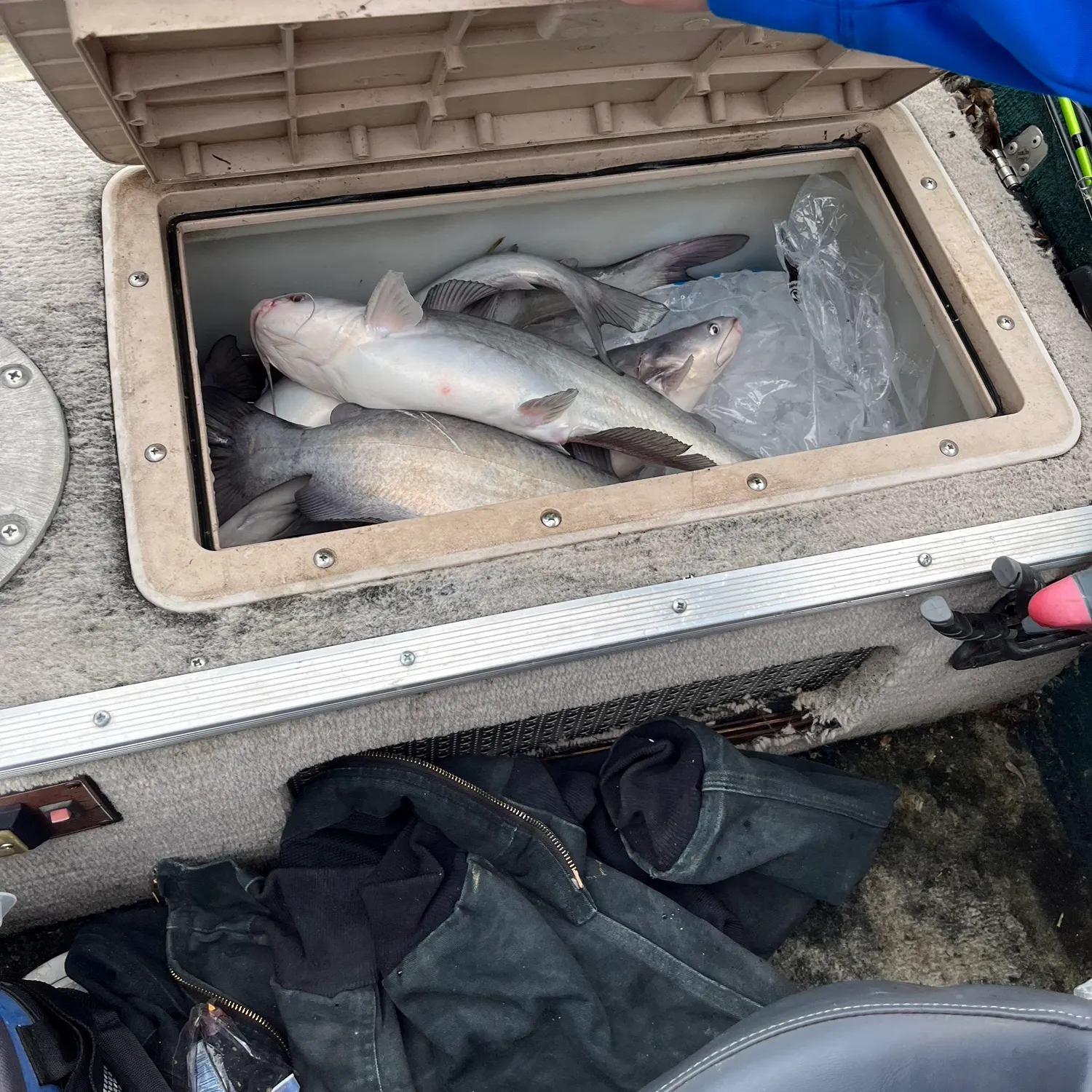 recently logged catches