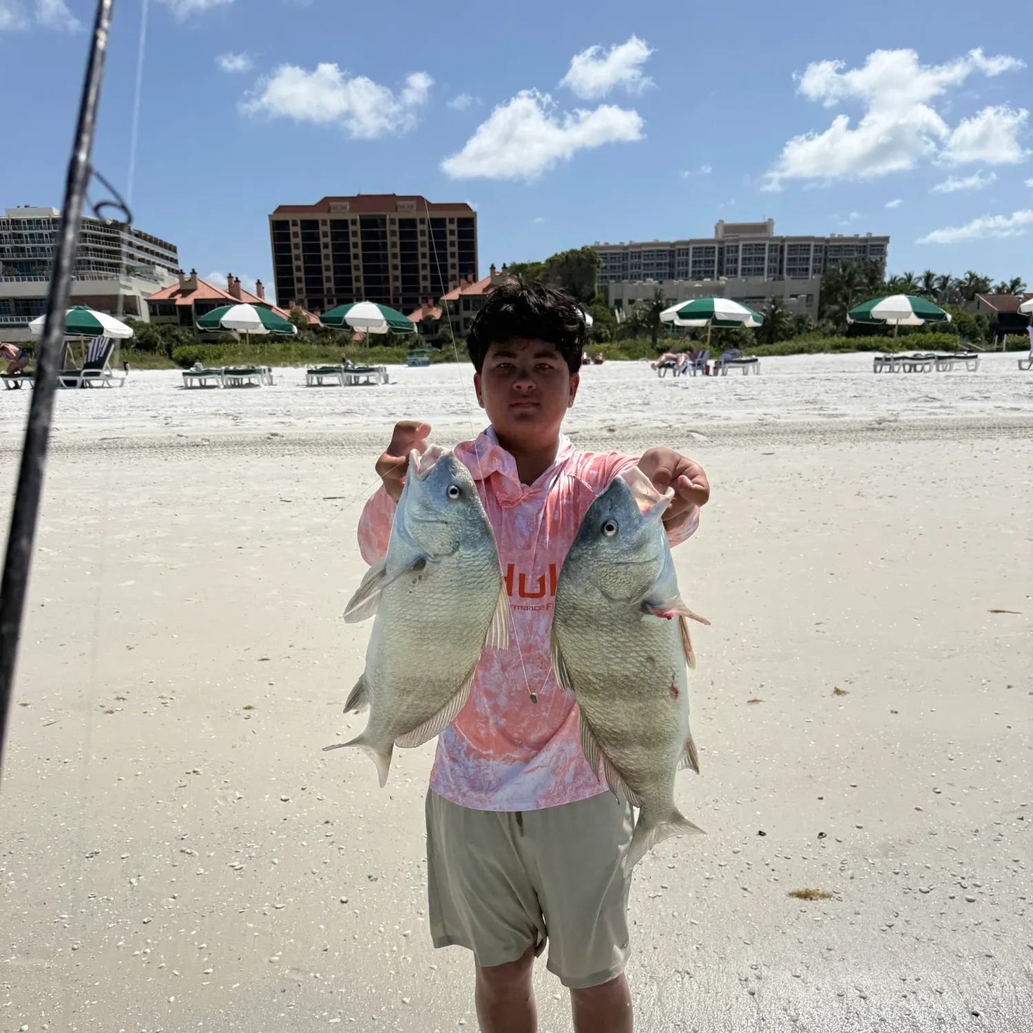 recently logged catches