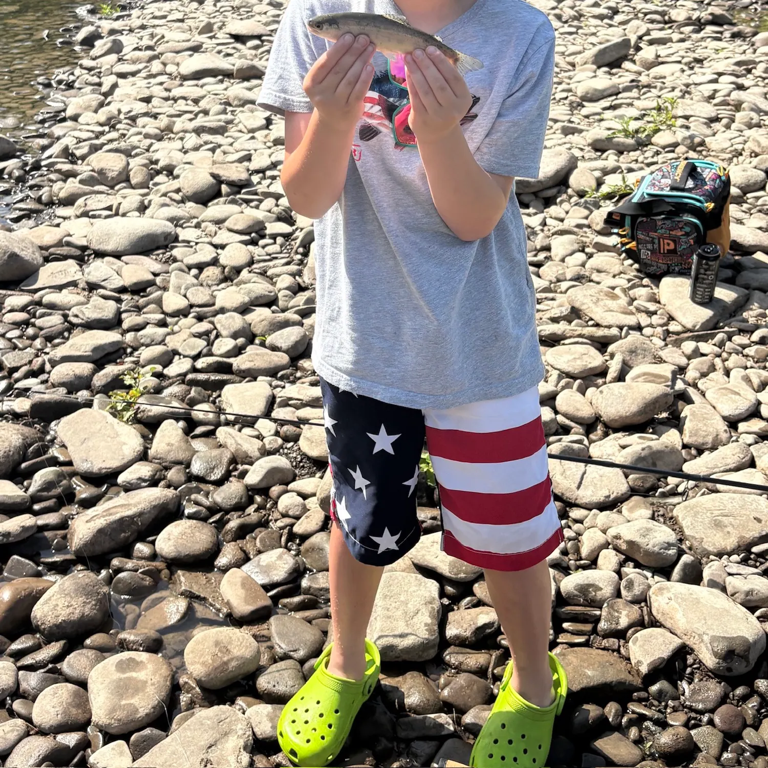 The most recent Rainbow trout catches on Fishbrain
