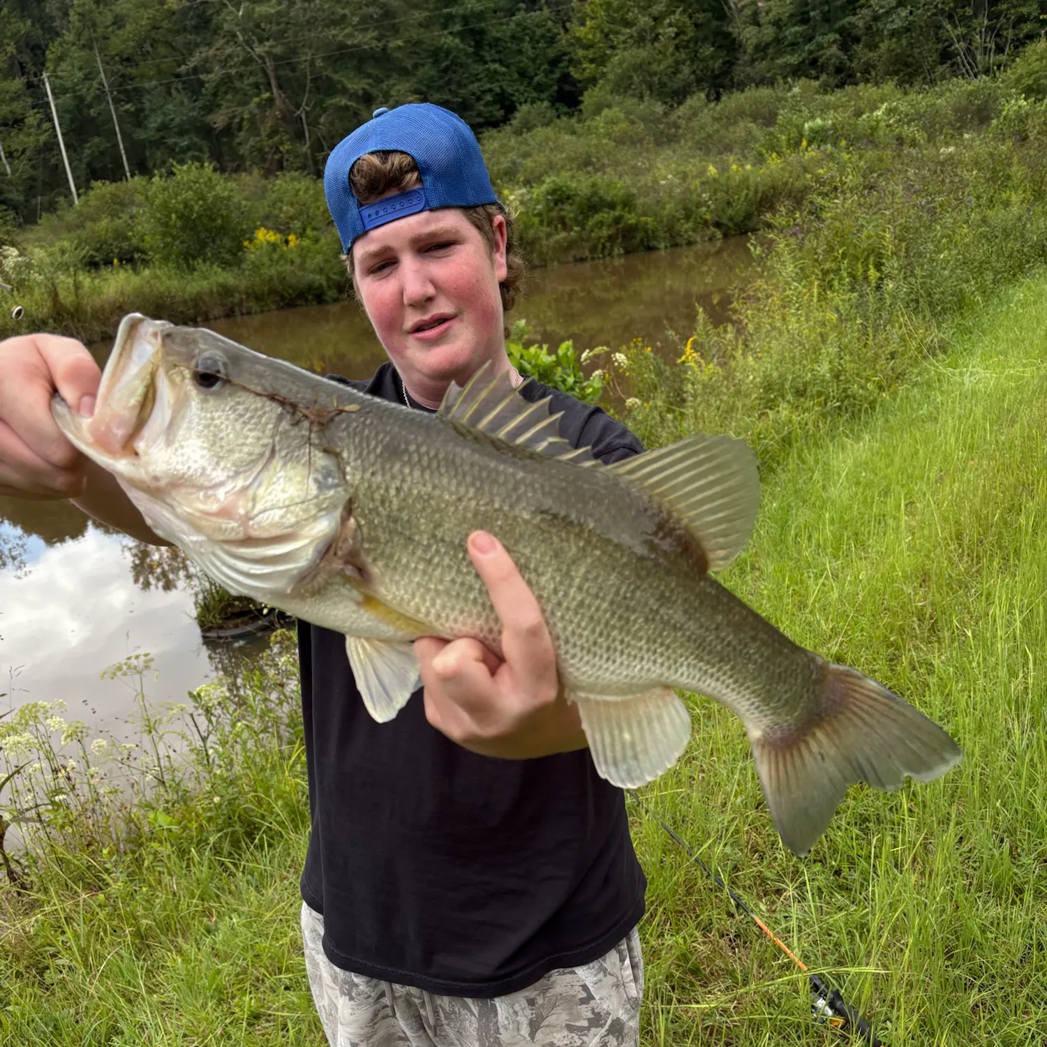 Largemouth bass caught on Fishbrain