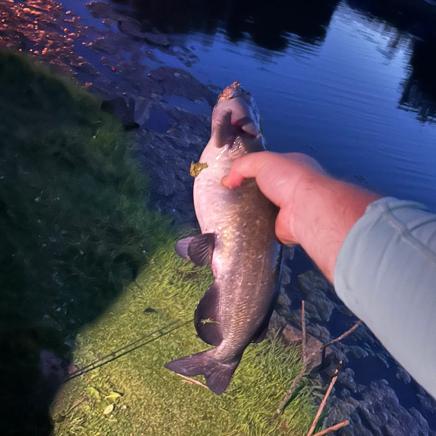catch