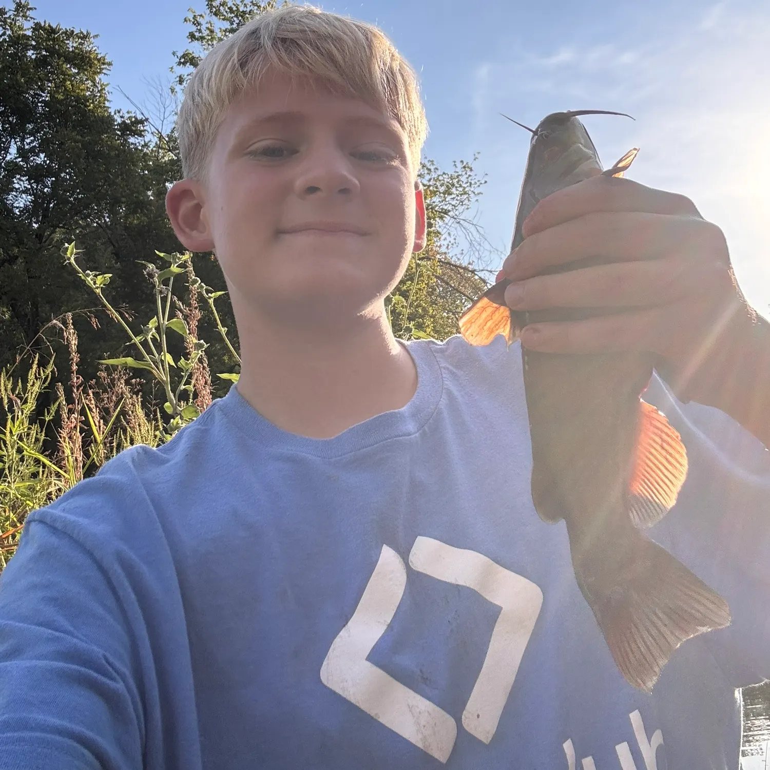 Black bullhead caught on Fishbrain