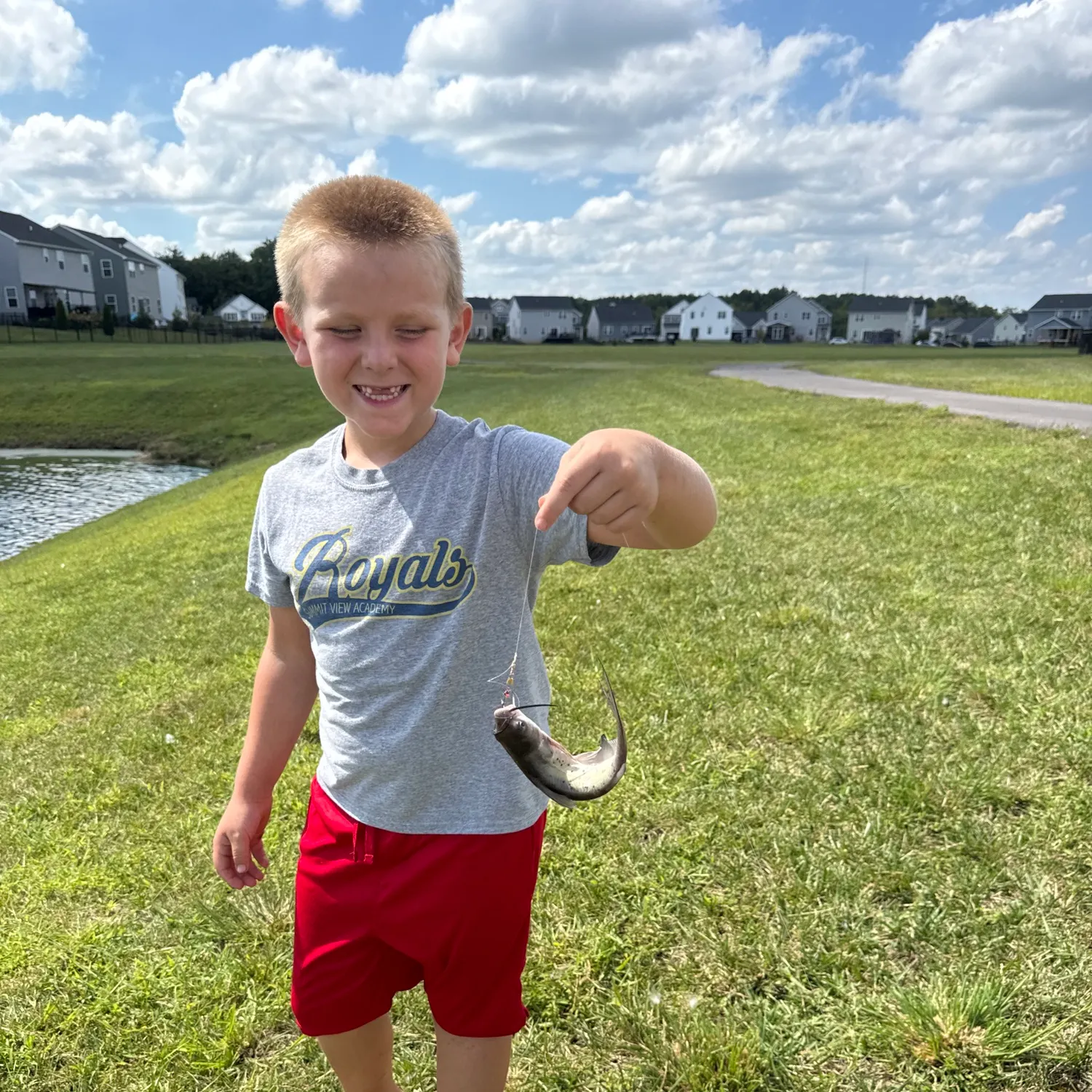 Channel catfish caught on Fishbrain