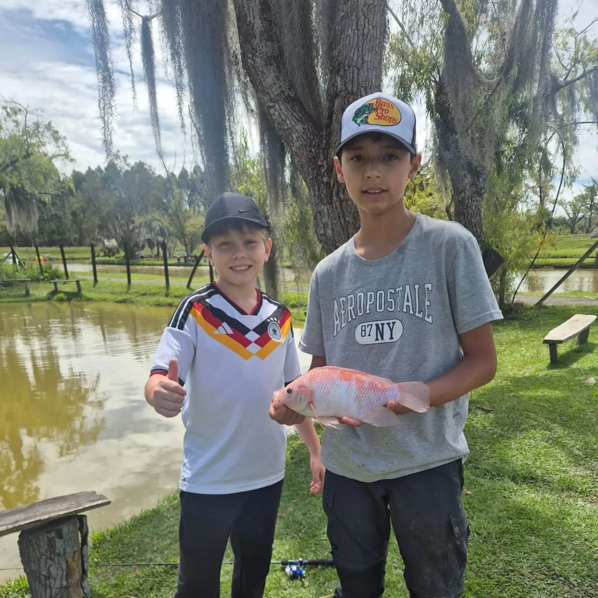 Red tilapia caught on Fishbrain