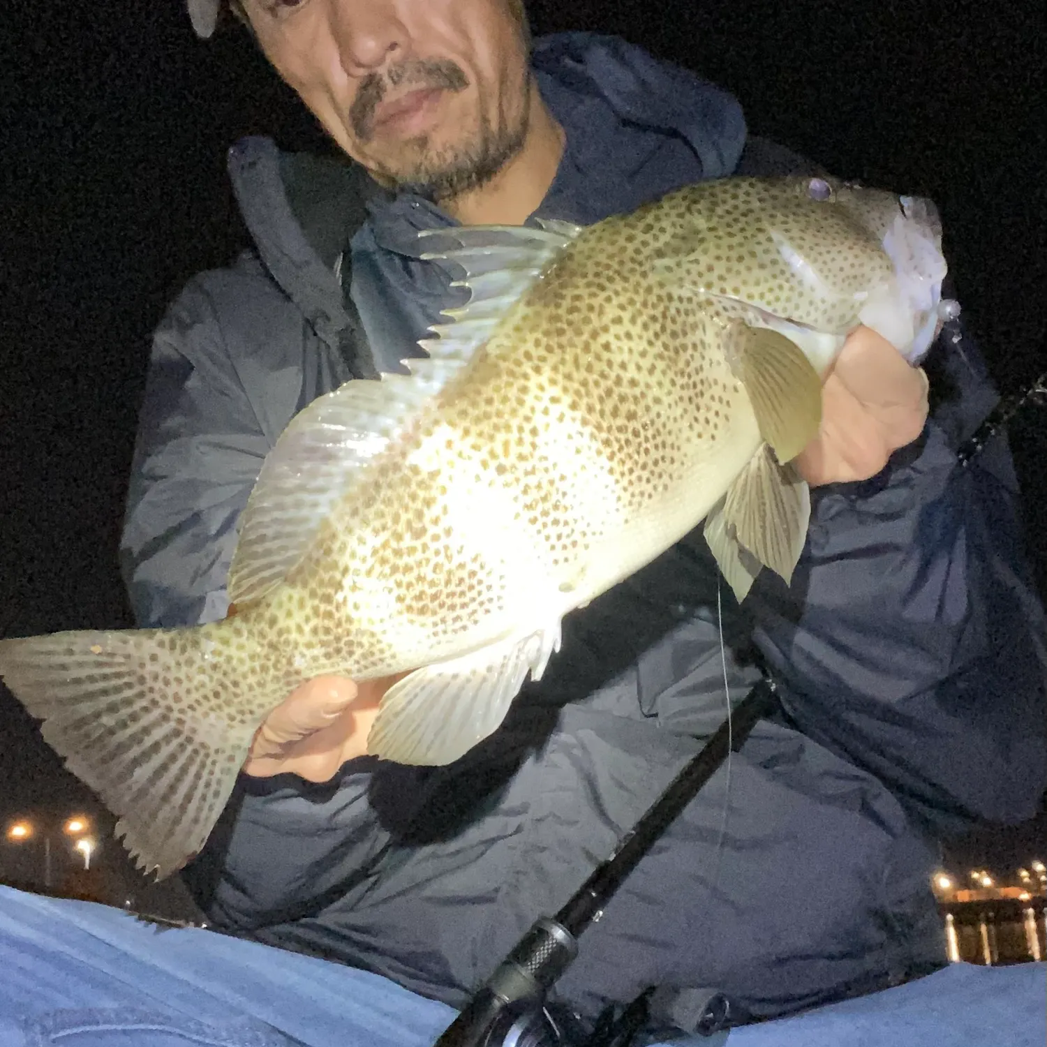The most recent Spotted sand bass catches on Fishbrain