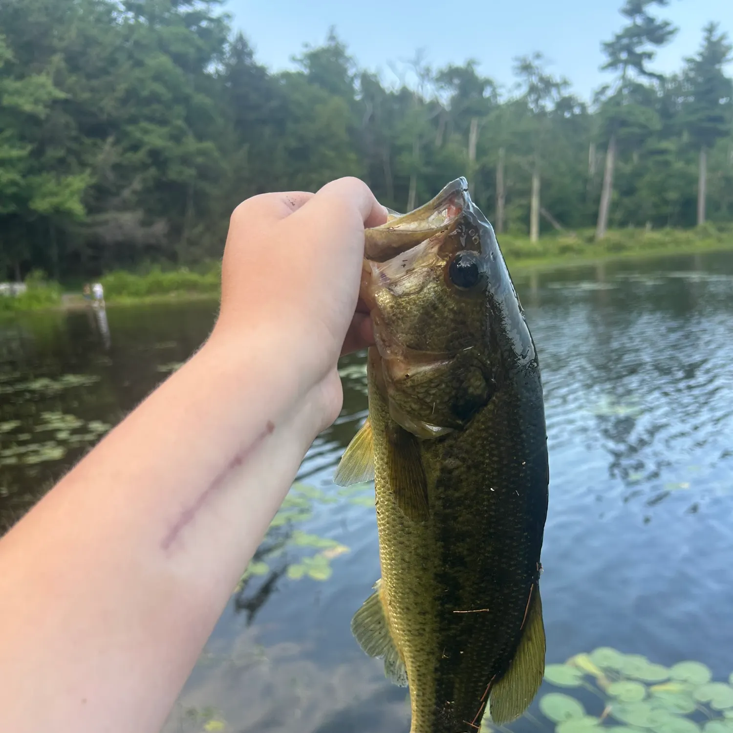 catch