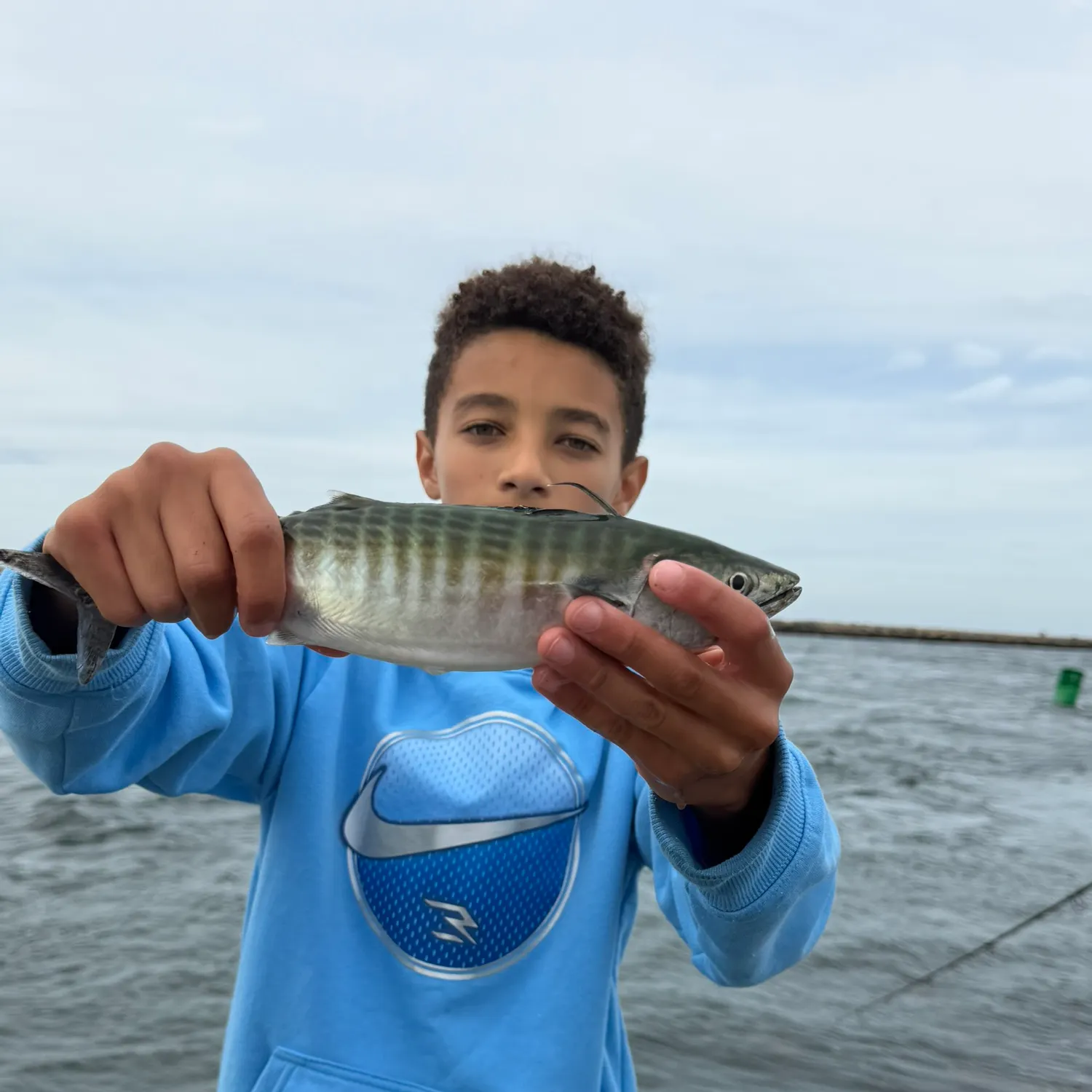 Atlantic bonito caught on Fishbrain