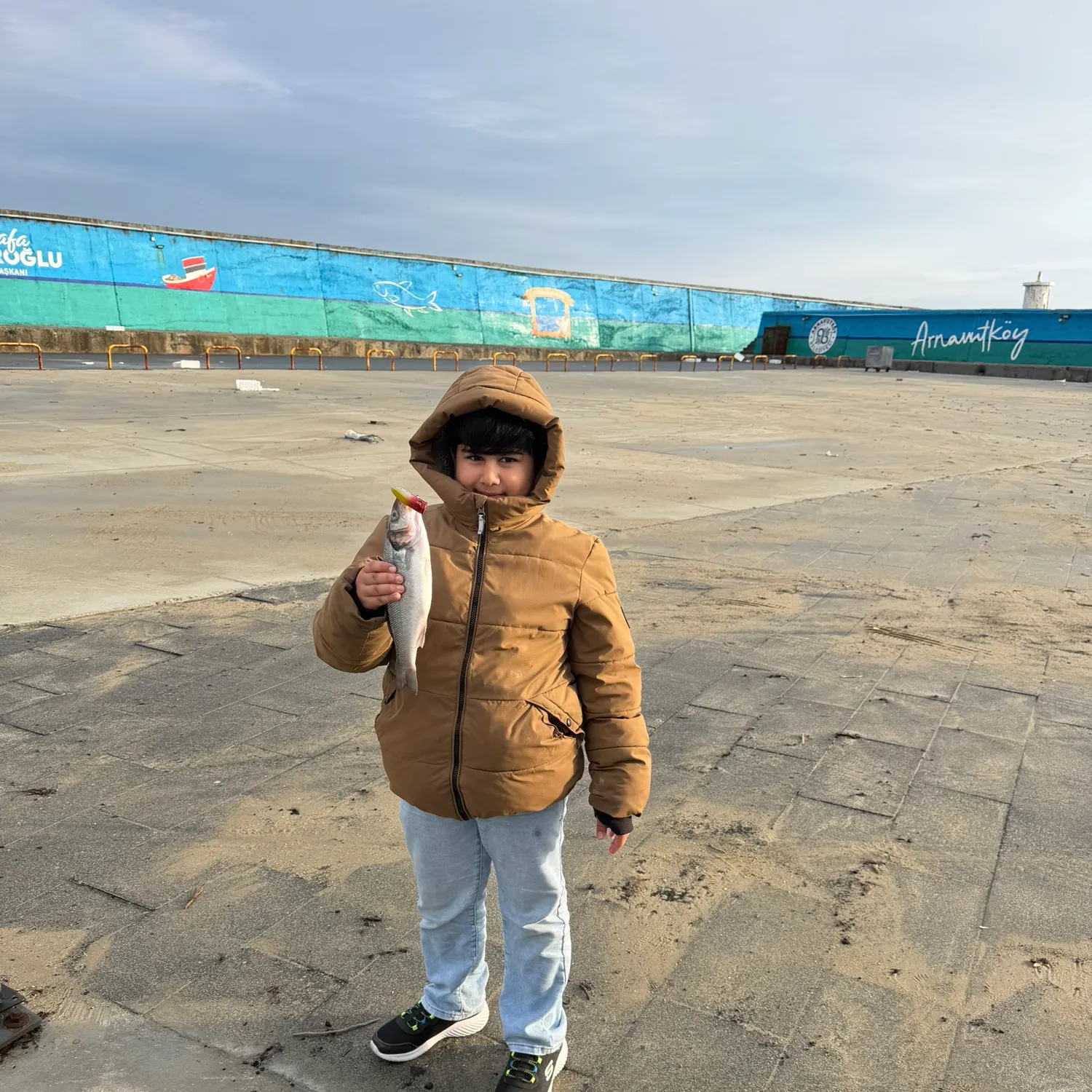 The most recent European seabass catches on Fishbrain