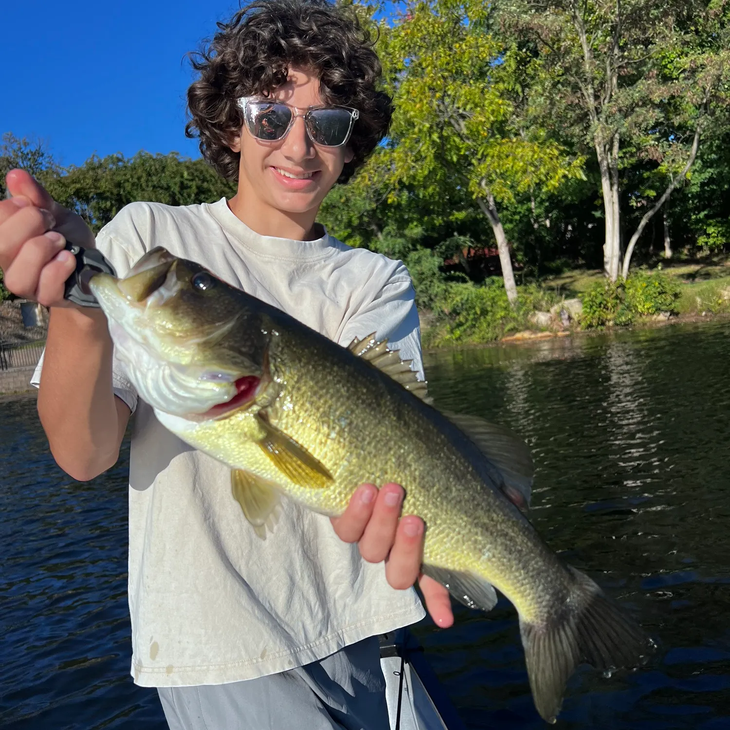 Largemouth bass caught on Fishbrain
