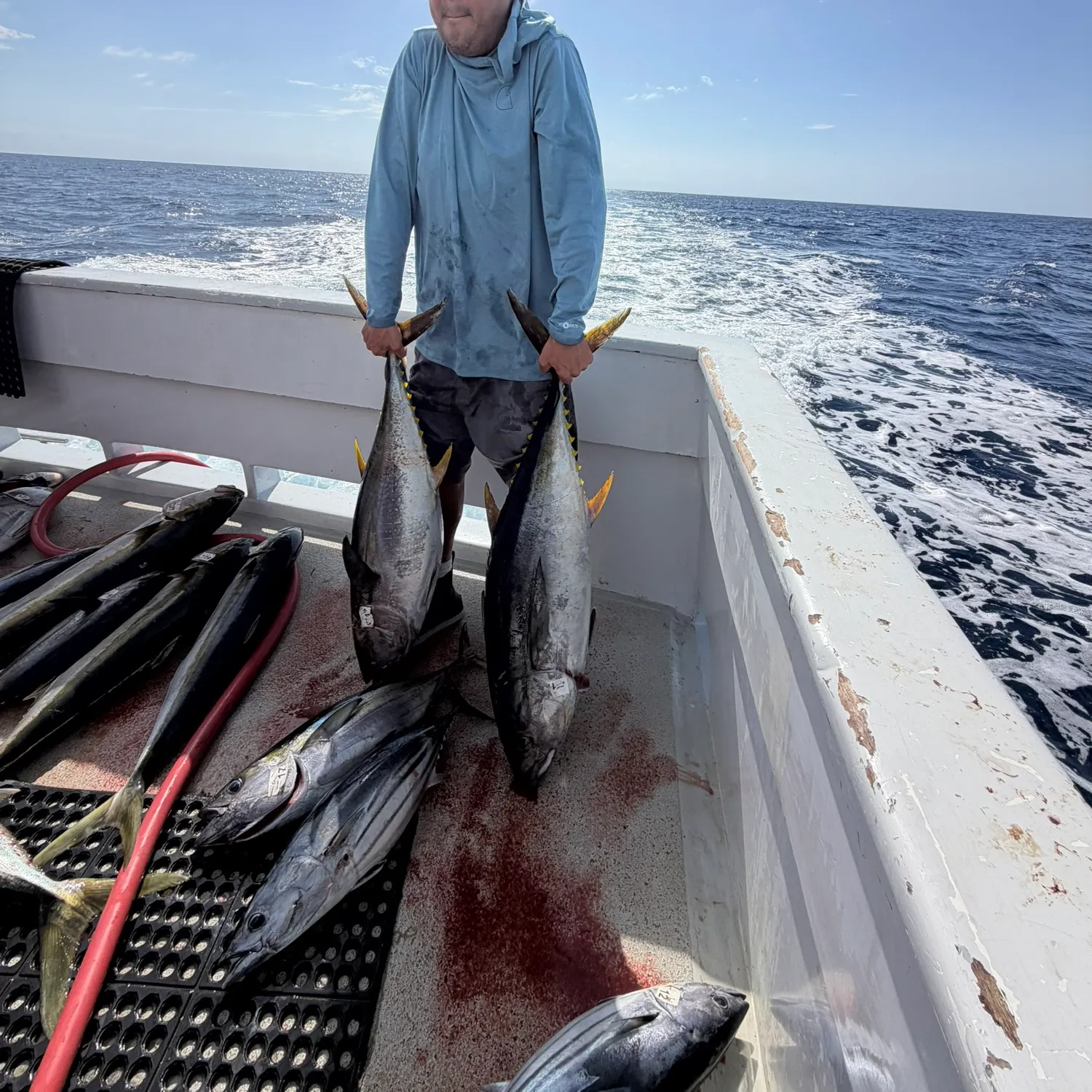 Yellowfin tuna caught on Fishbrain