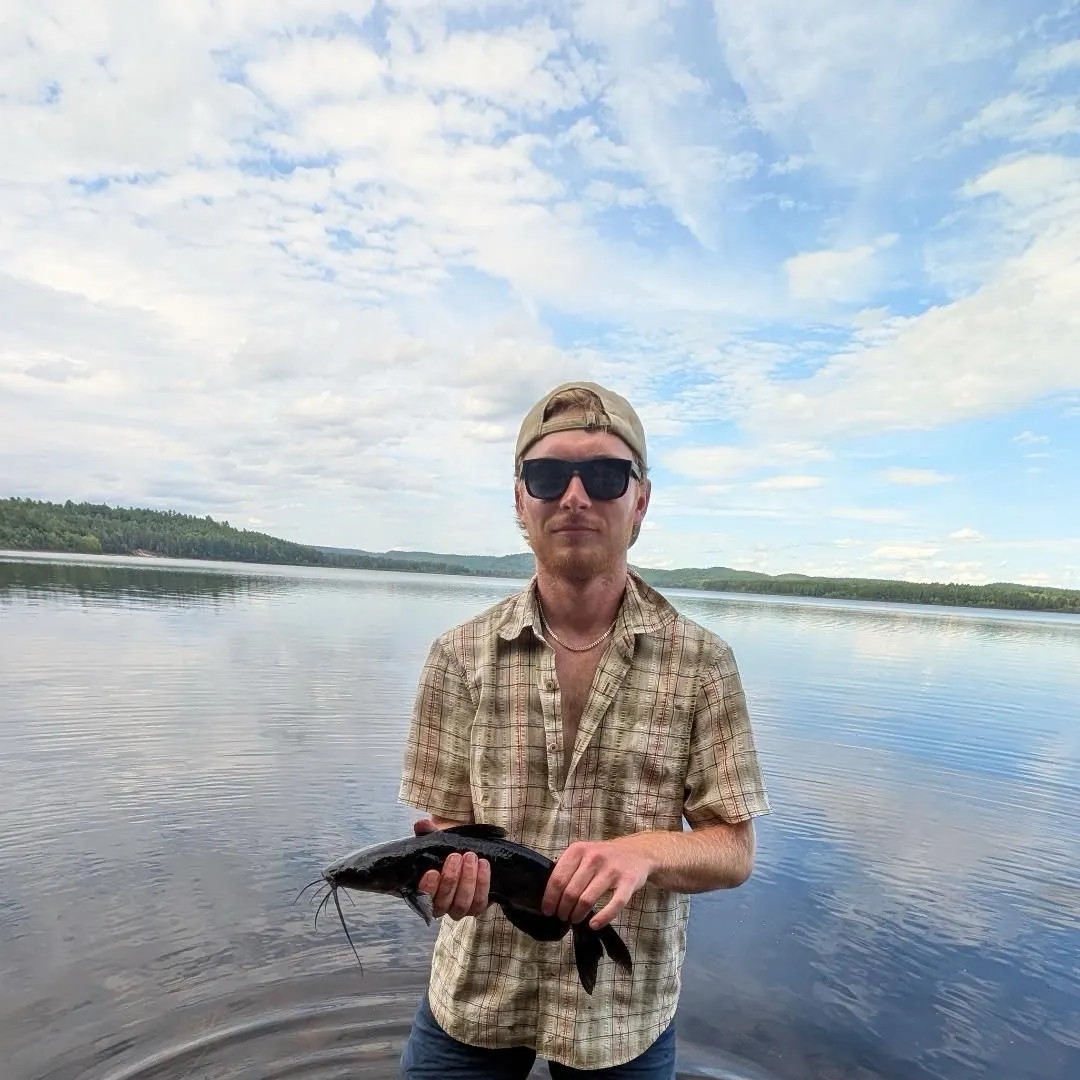Channel catfish caught on Fishbrain