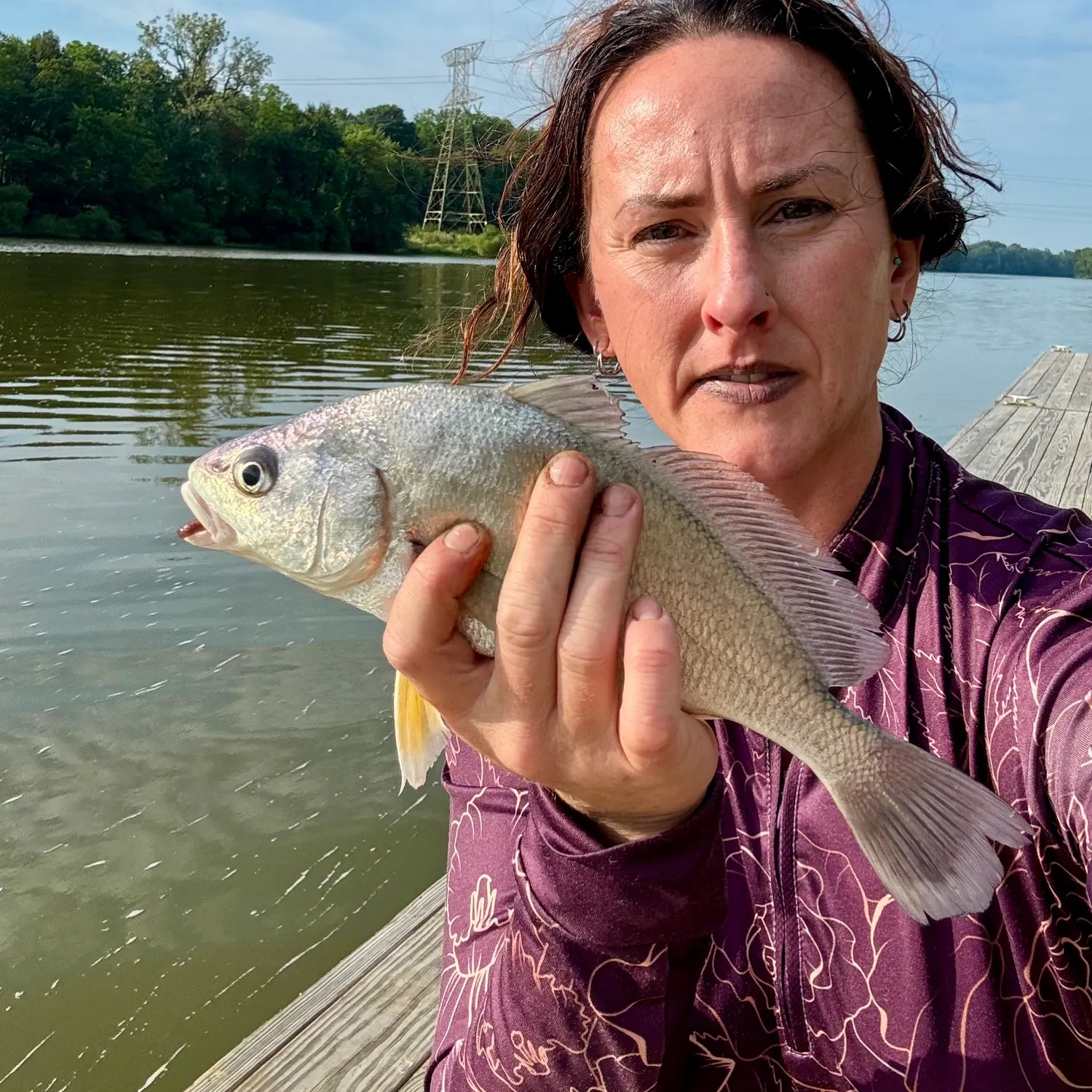 Freshwater drum caught on Fishbrain