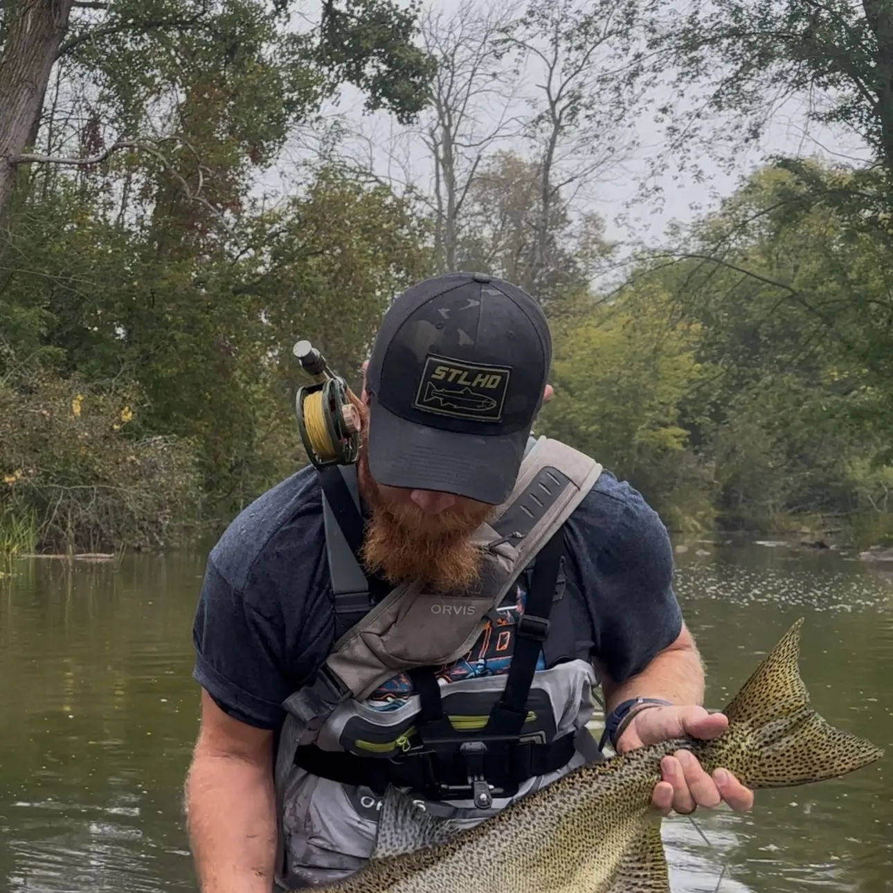 Chinook salmon caught on Fishbrain