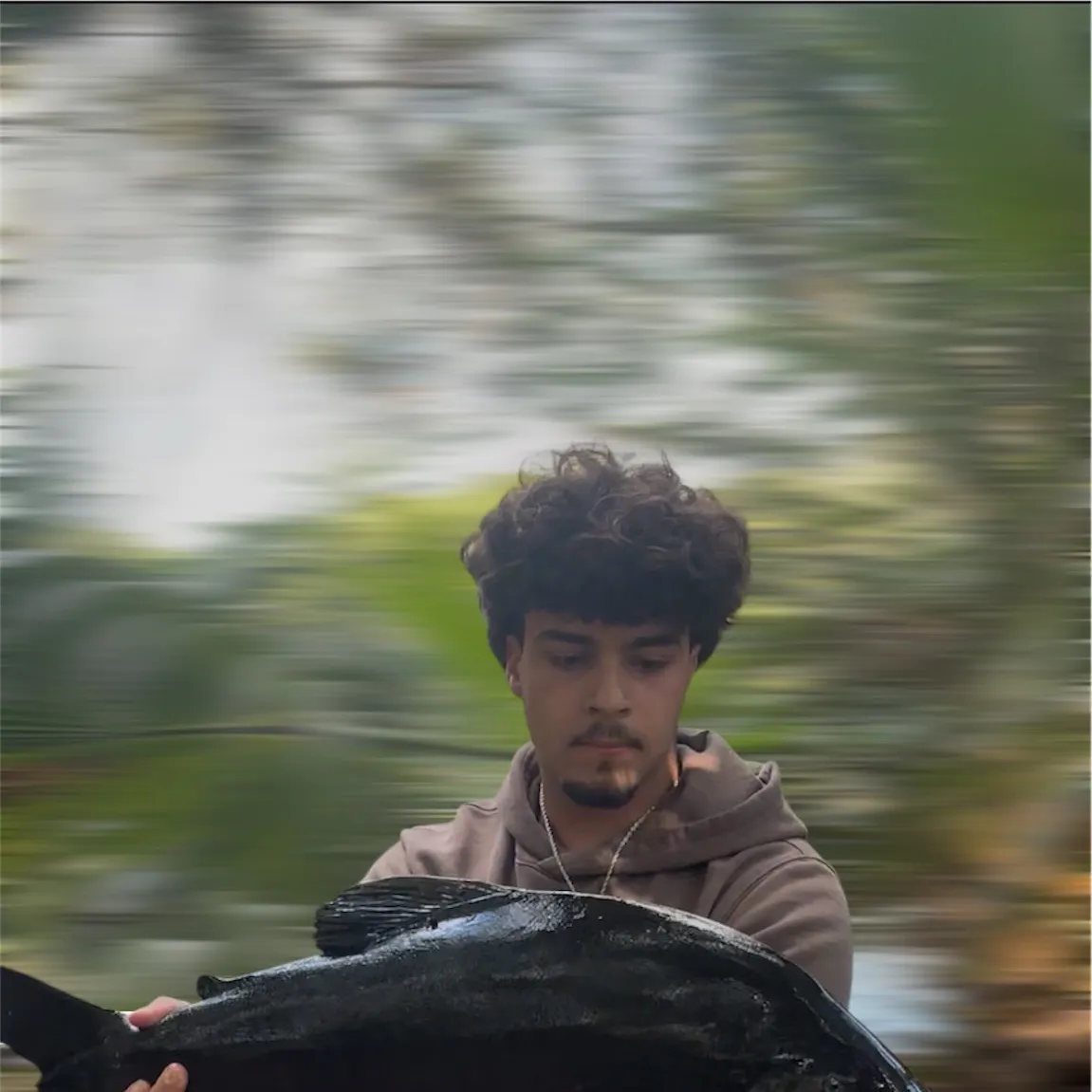 The most recent Red-bellied pacu catches on Fishbrain