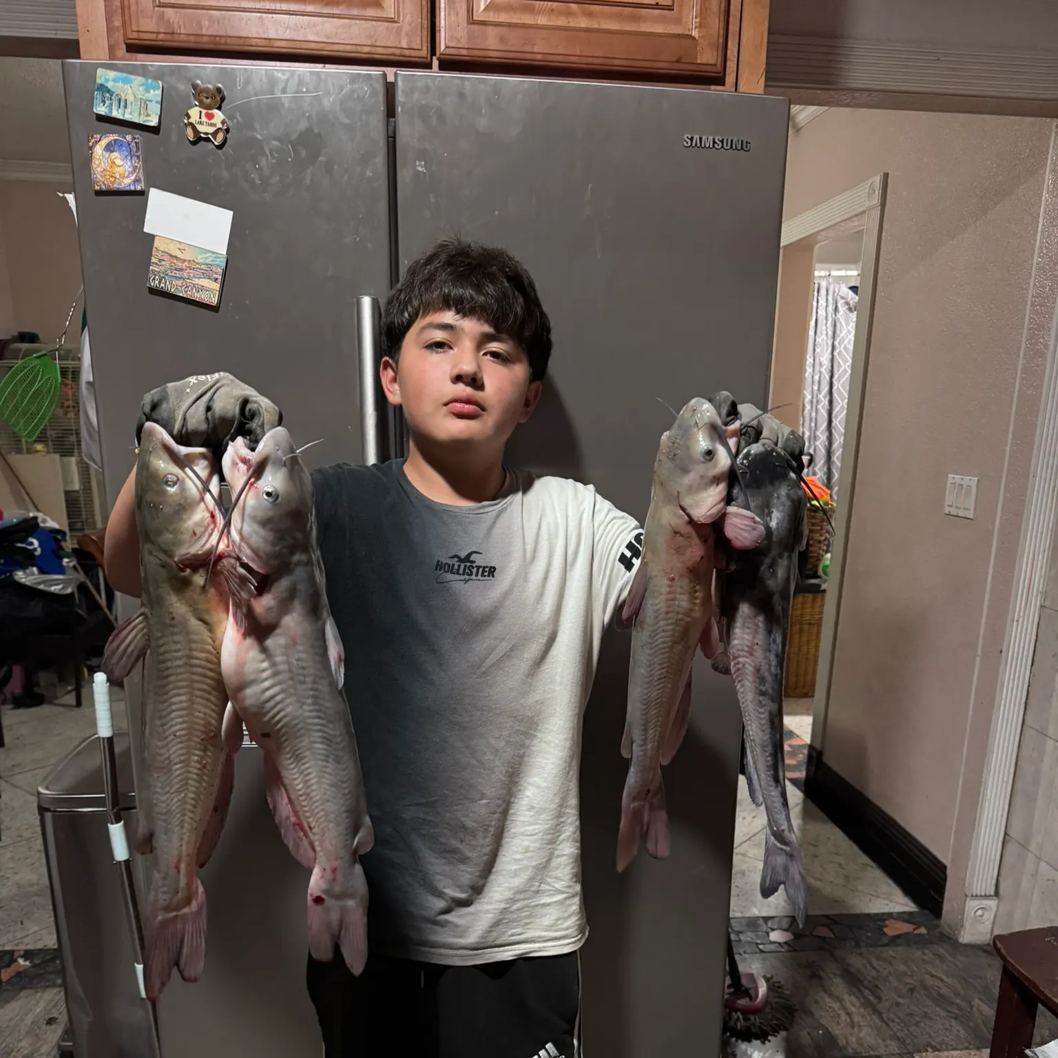 recently logged catches