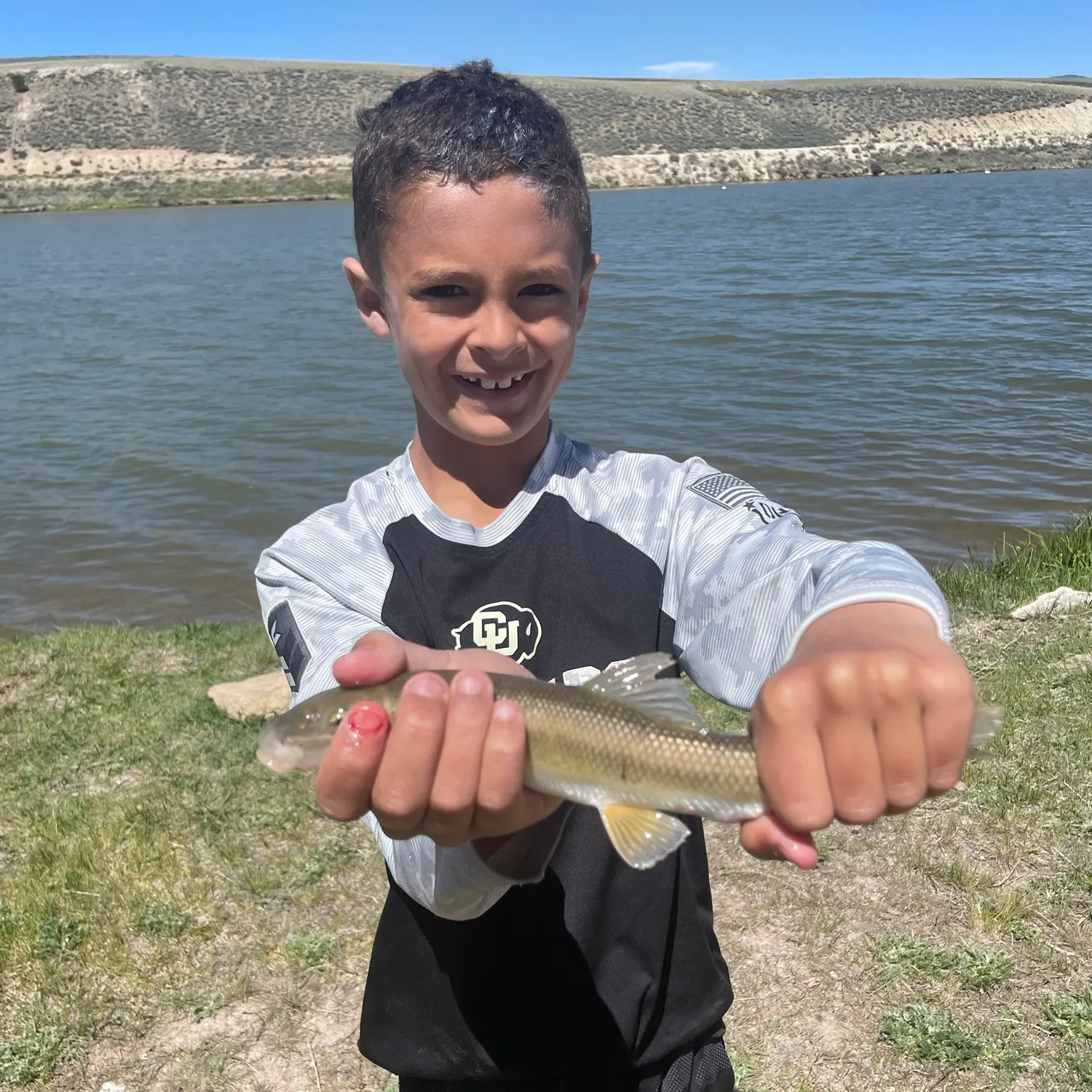 White sucker caught on Fishbrain