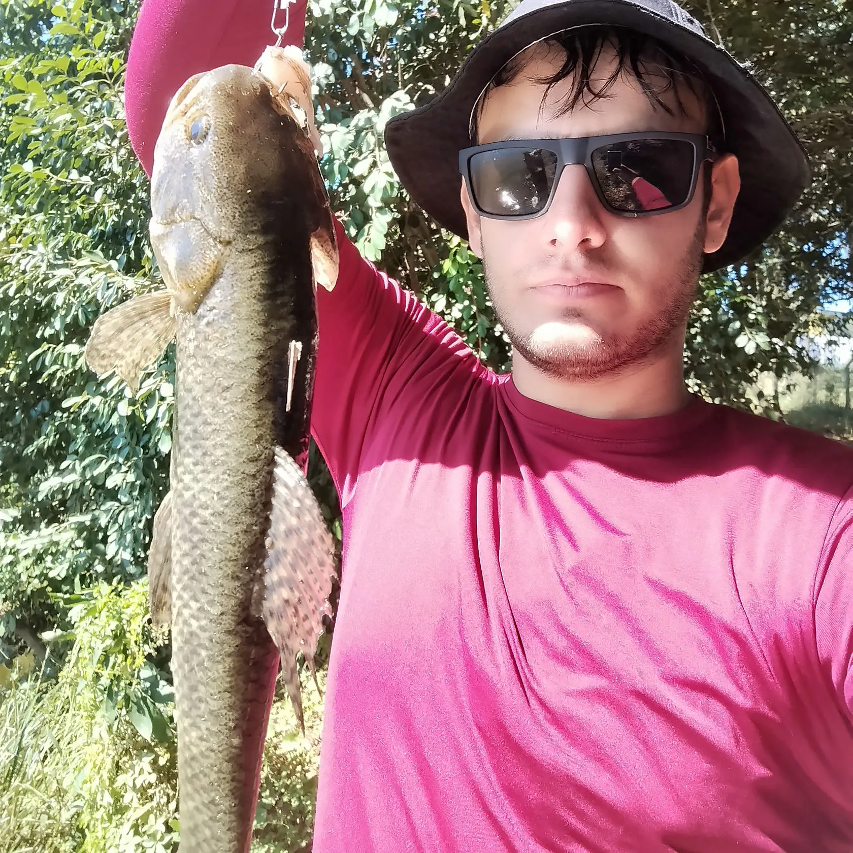 Trahira caught on Fishbrain