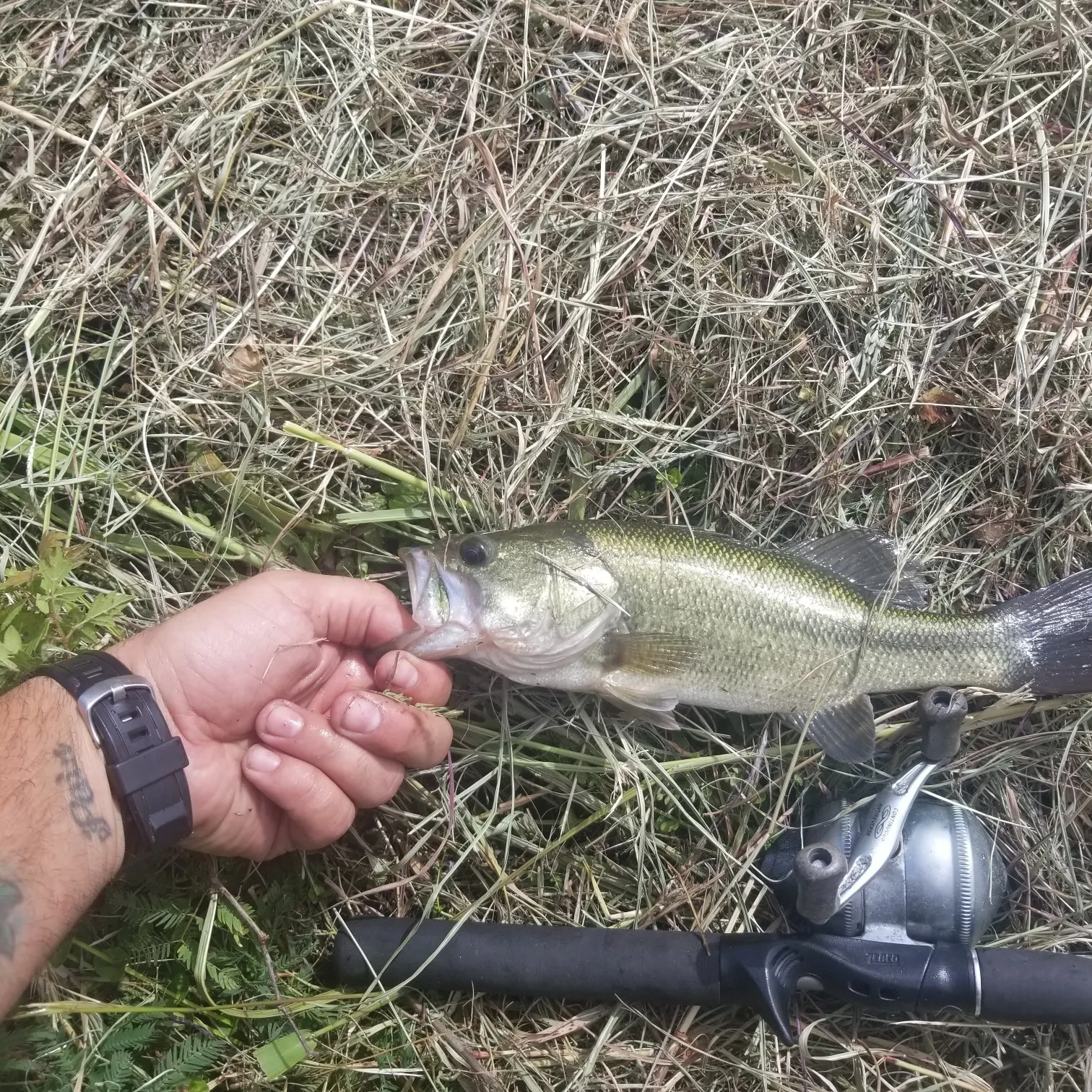 angler catch