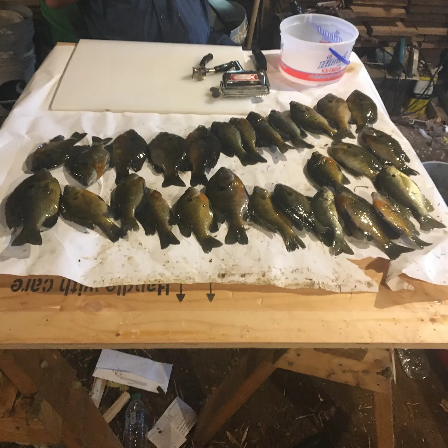 recently logged catches