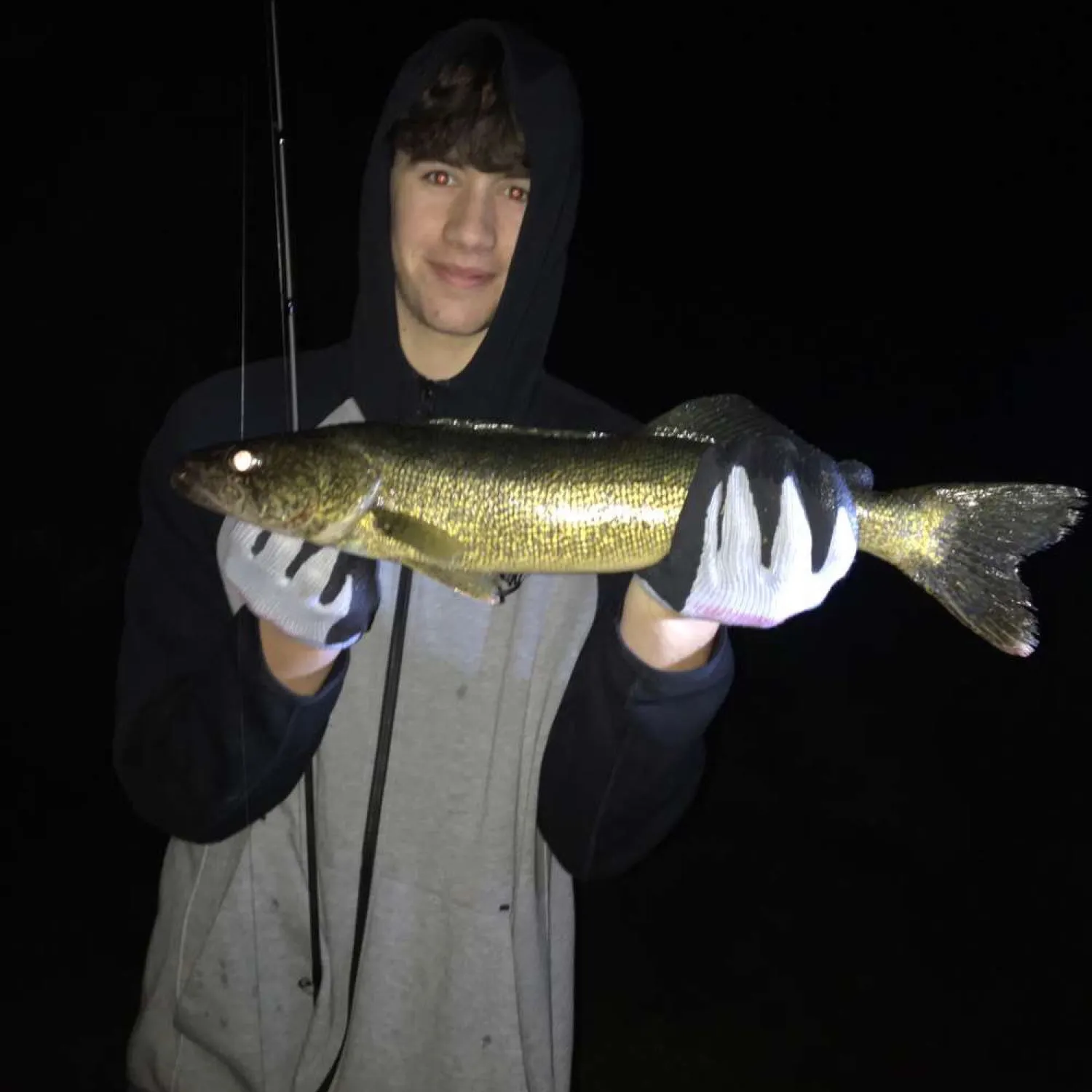 Walleye caught on Fishbrain