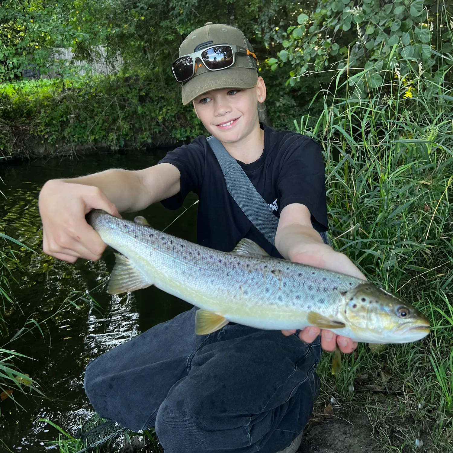 Sea trout caught on Fishbrain