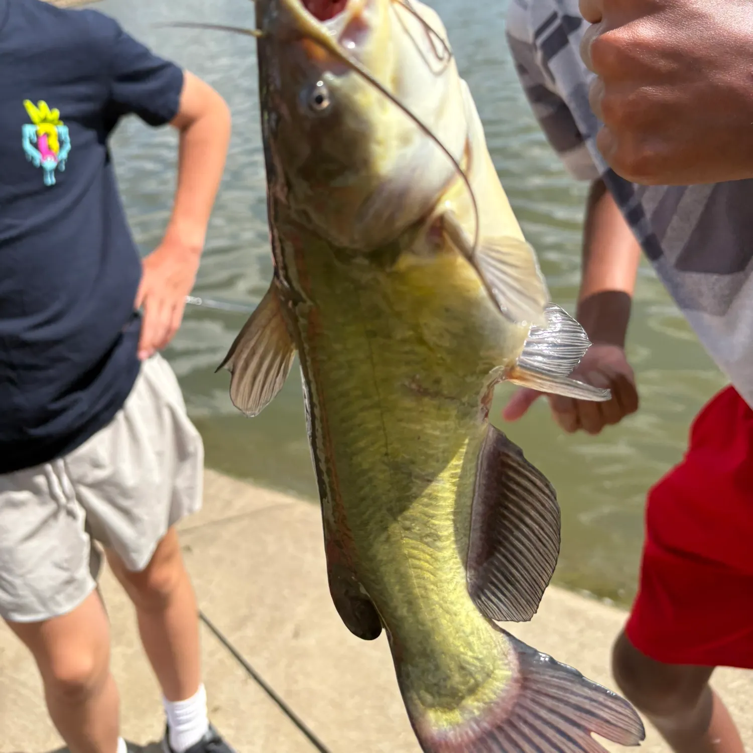 angler catch