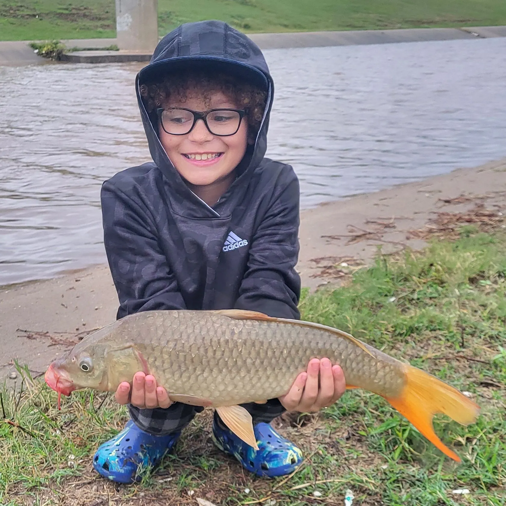 Common carp caught on Fishbrain