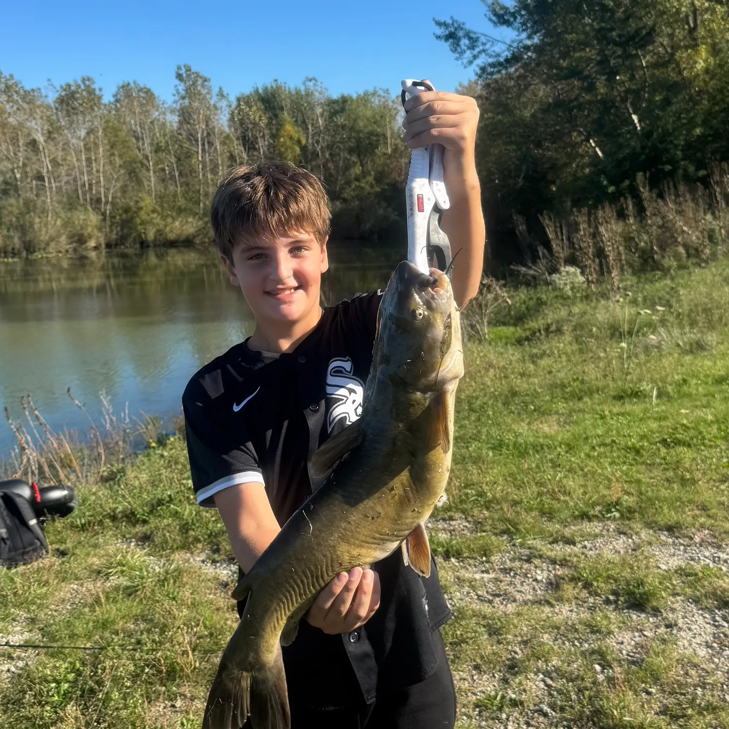 Channel catfish caught on Fishbrain