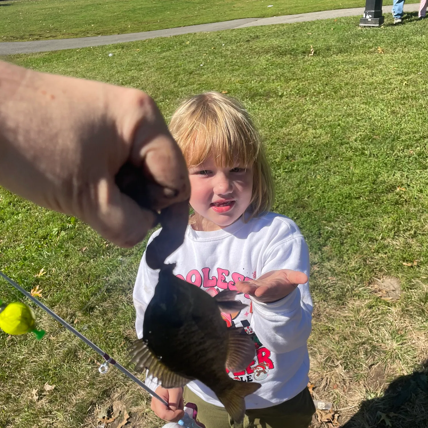 Bluegill caught on Fishbrain