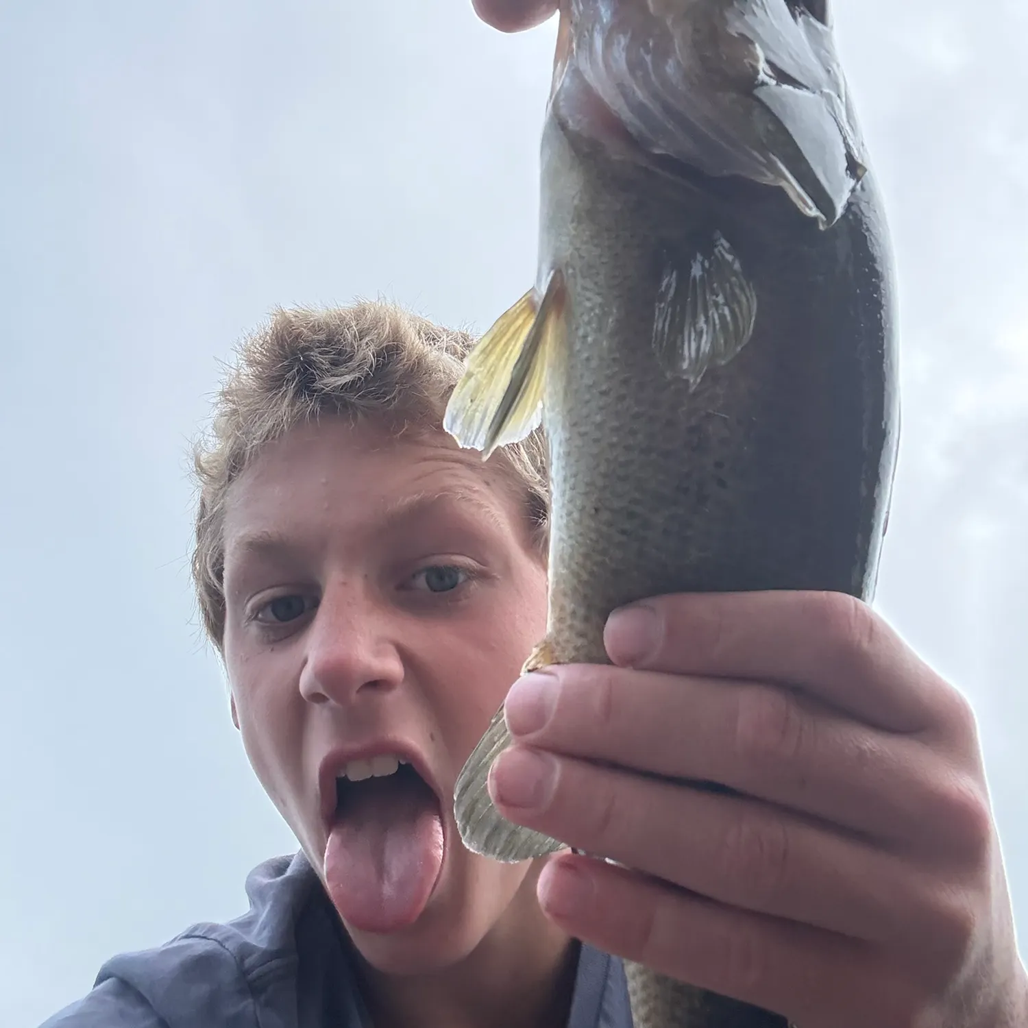 Fish caught on Fishbrain