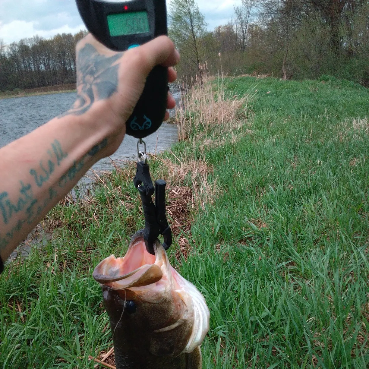 recently logged catches