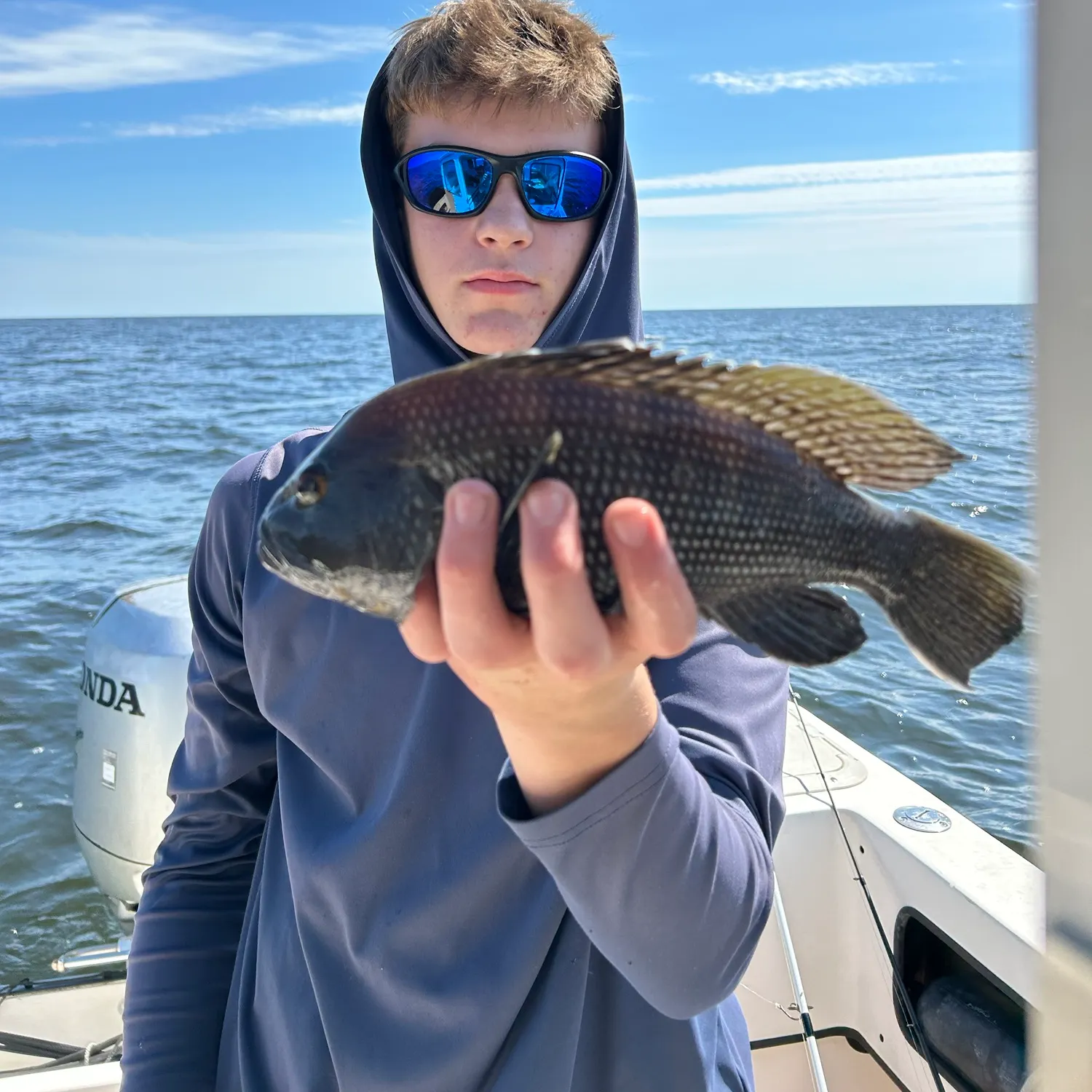 Black sea bass caught on Fishbrain