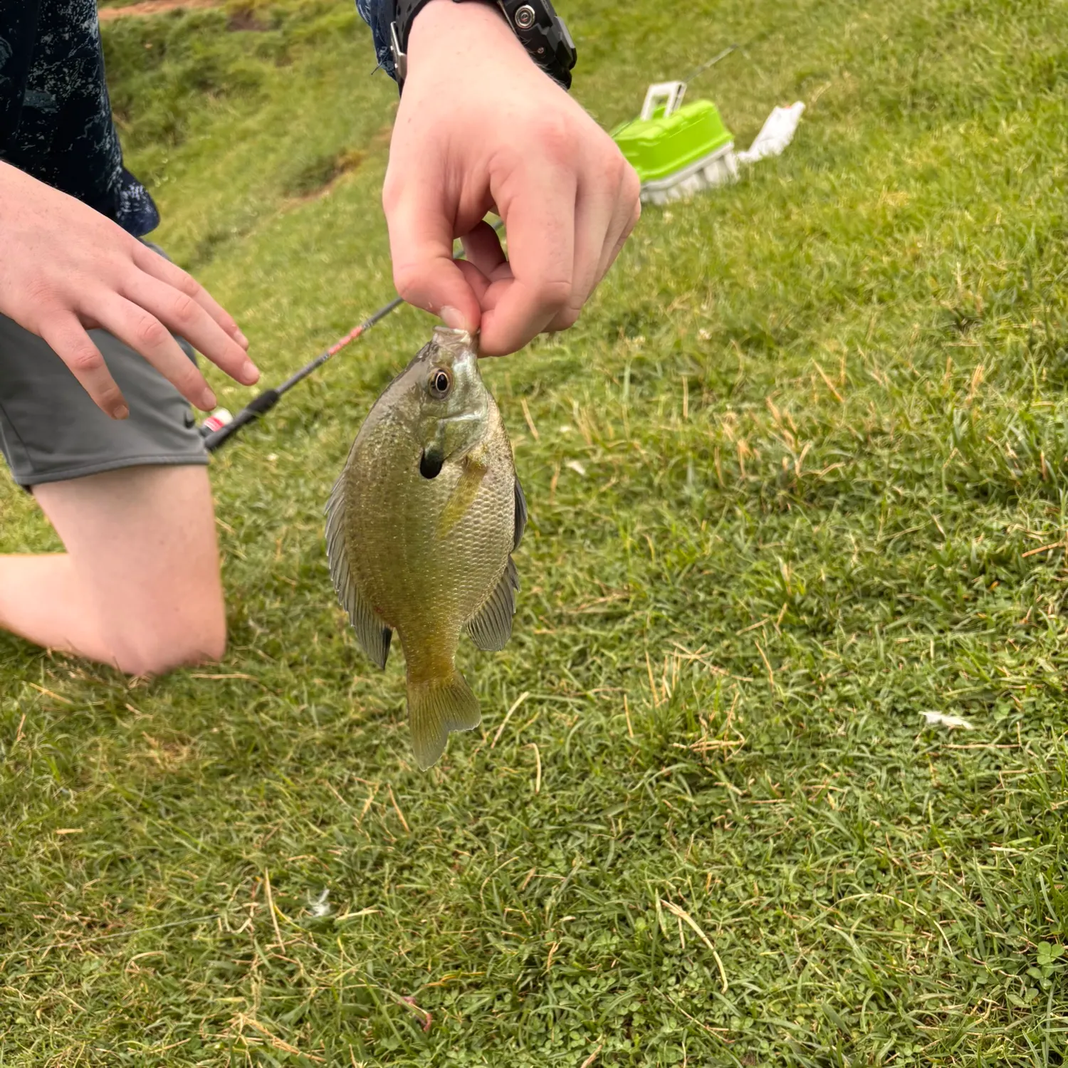 catch
