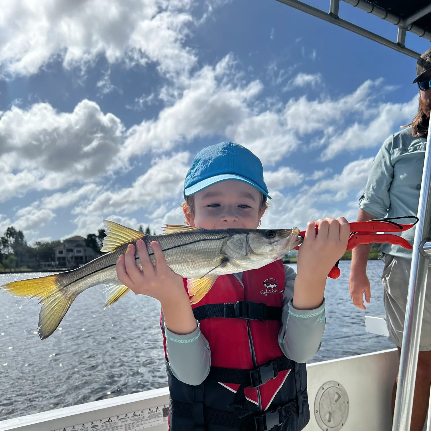 The most recent Common snook catches on Fishbrain