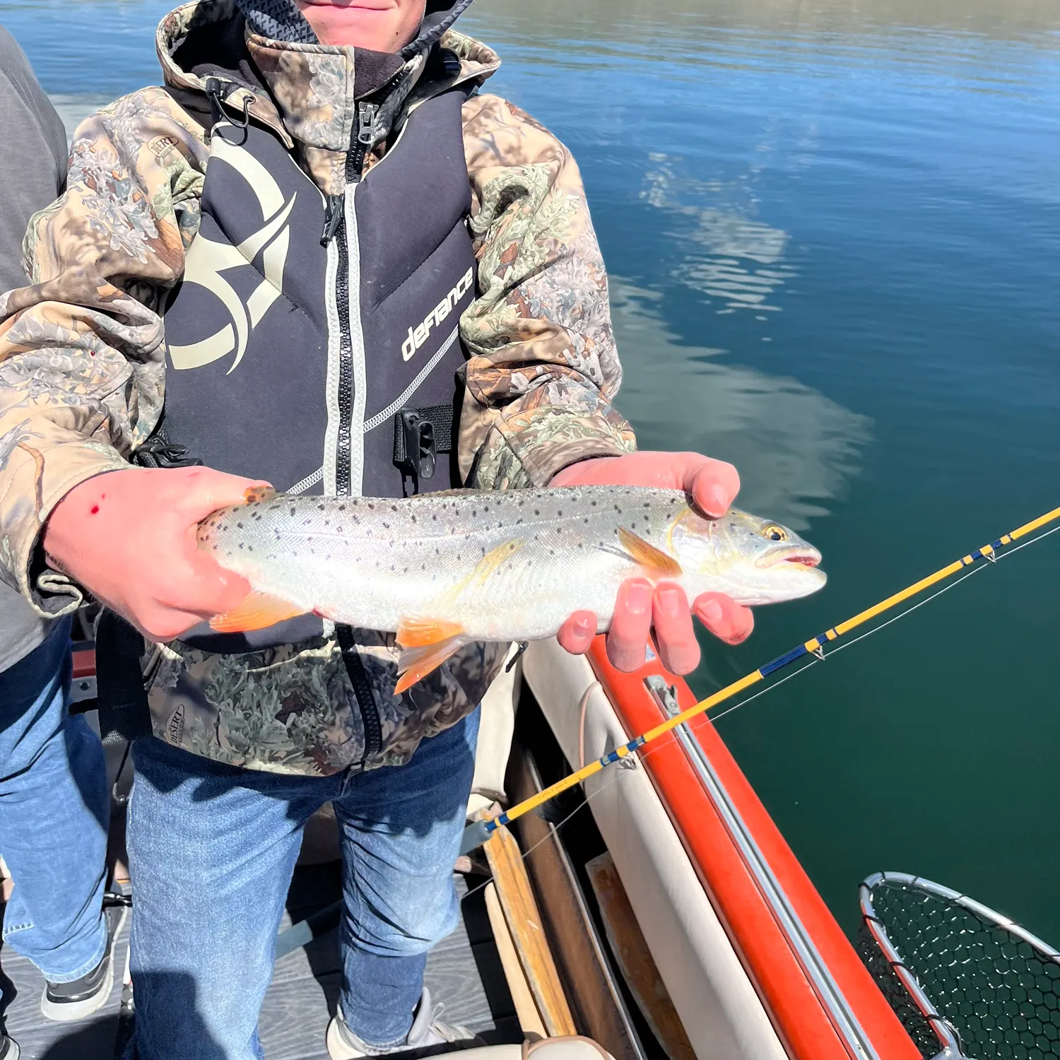 The most recent Bear Lake cutthroat trout catches on Fishbrain