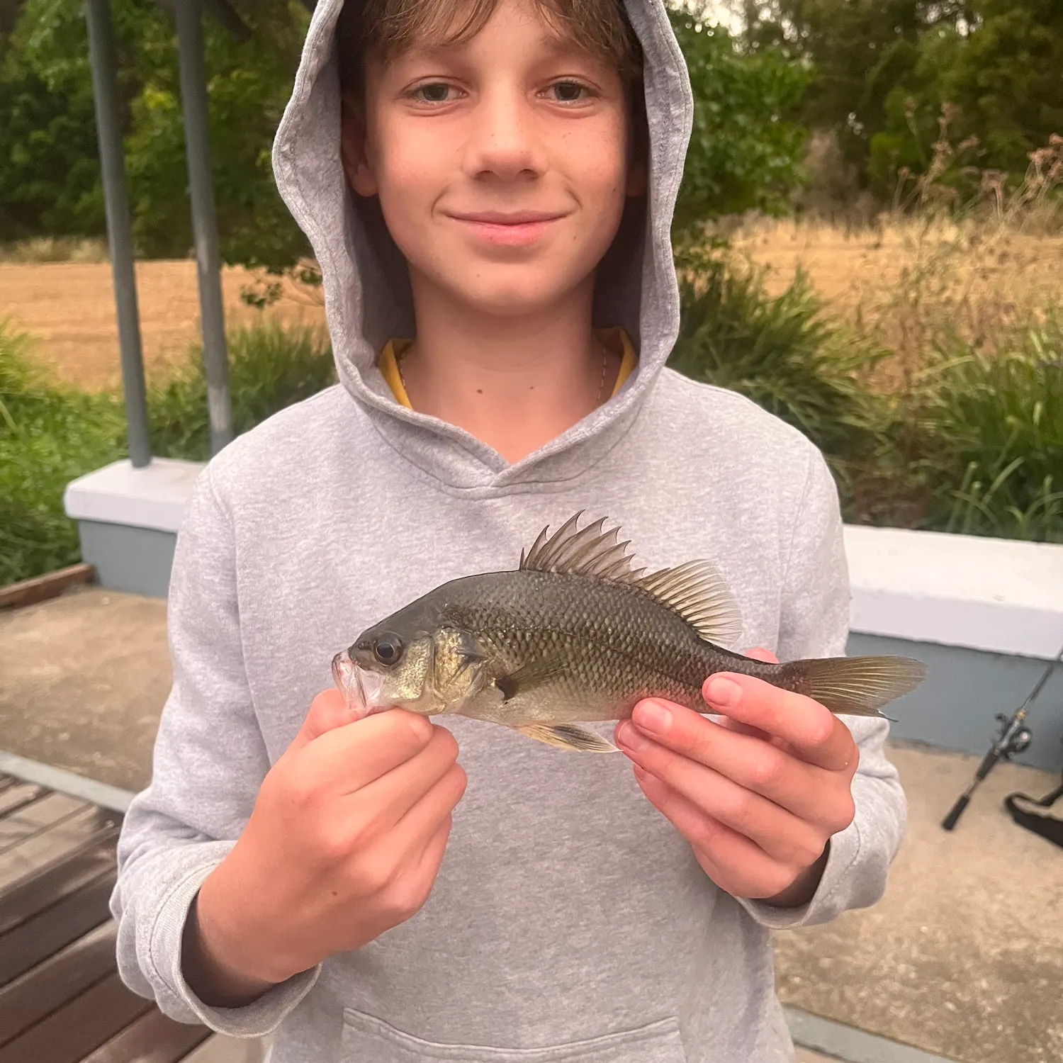 The most recent Australian bass catches on Fishbrain