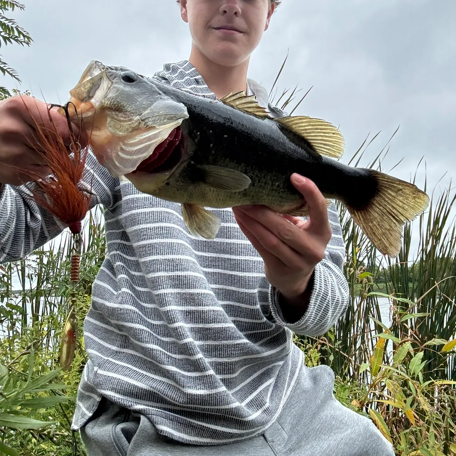 Largemouth bass caught on Fishbrain