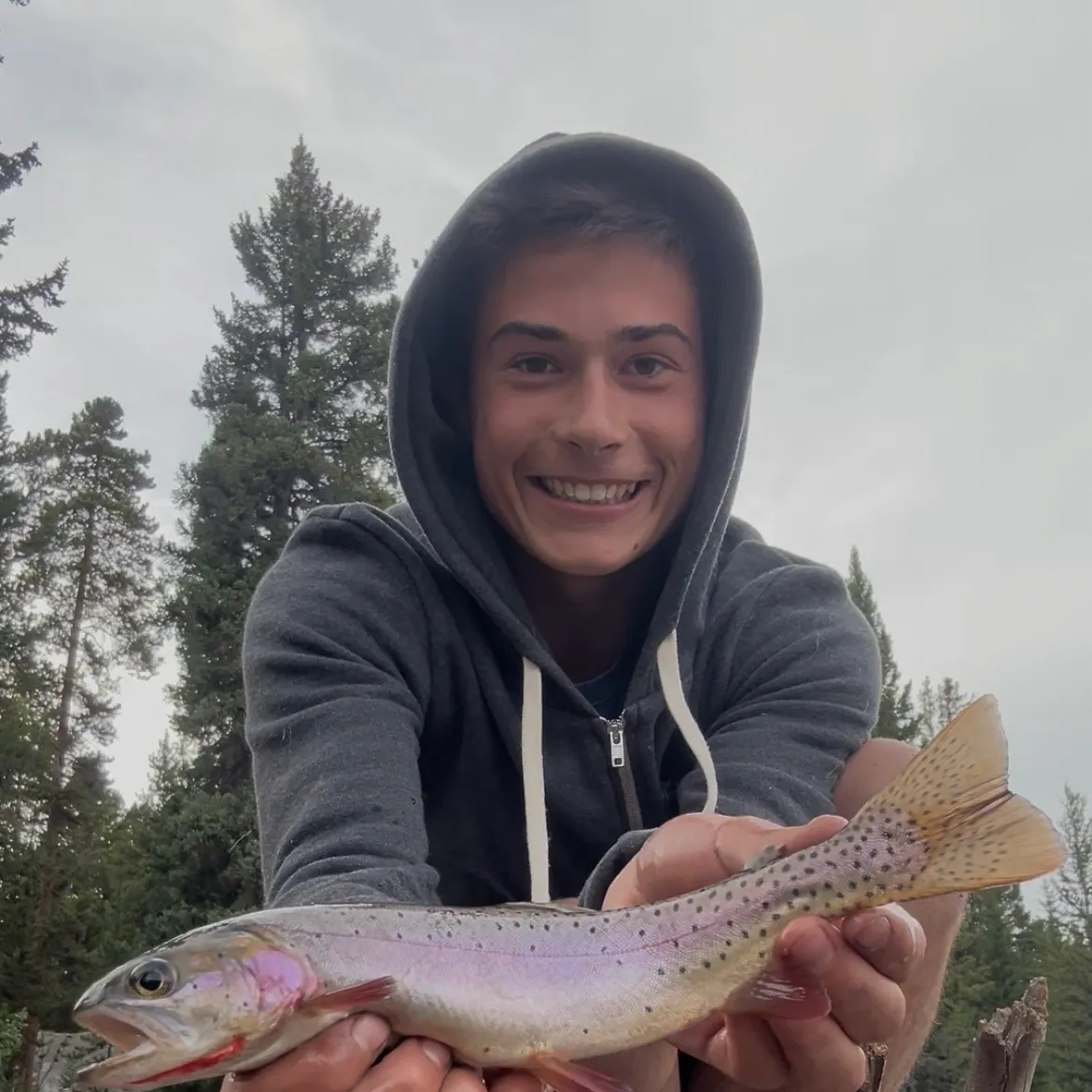 Yellowstone cutthroat trout caught on Fishbrain