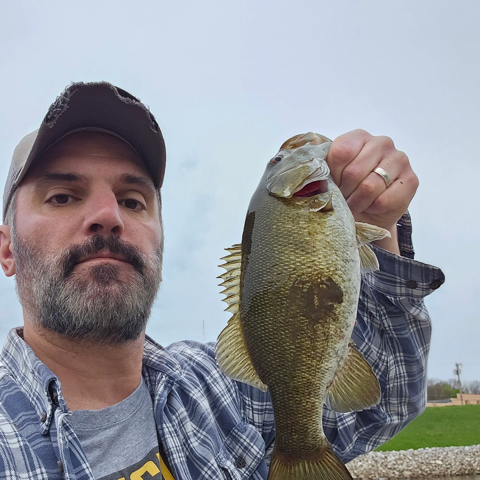 The most recent Smallmouth bass catches on Fishbrain