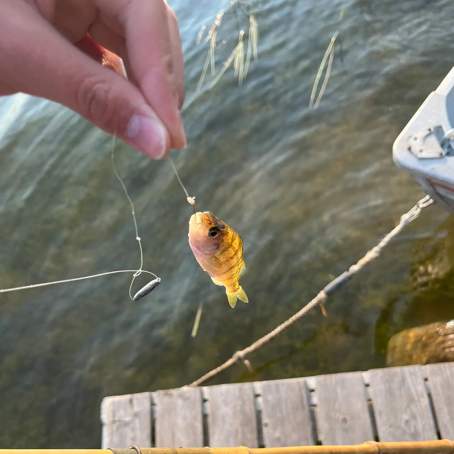 catch
