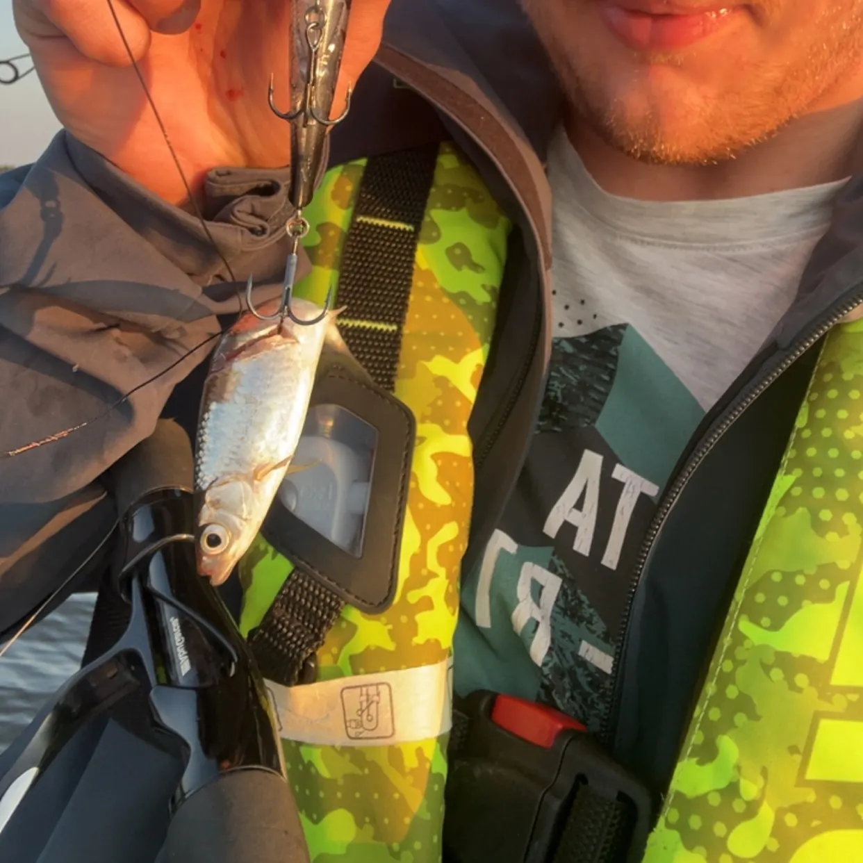 The most recent Common bleak catches on Fishbrain
