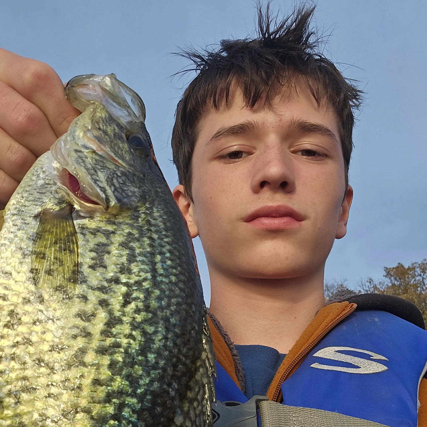 Black crappie caught on Fishbrain